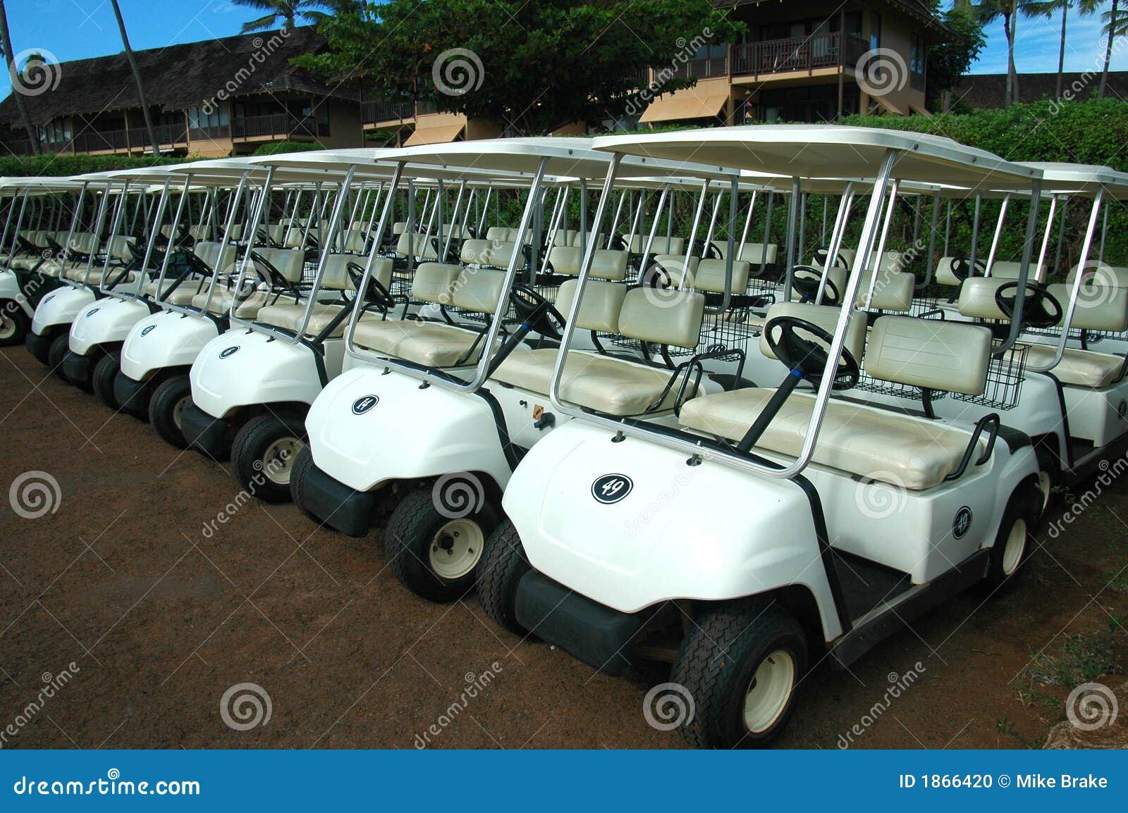 Tropical Golf Carts 3 stock photo. Image of accessibility 1866420