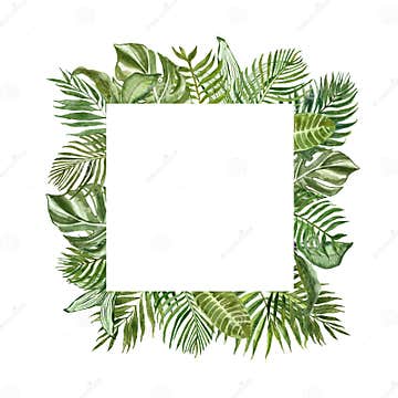 Tropical Green Foliage Square Frame for Cards, Banners. Watercolor ...