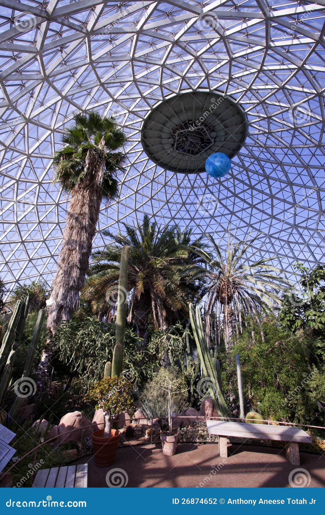 Tropical greenhouse stock photo. Image of glass, palm 26874652