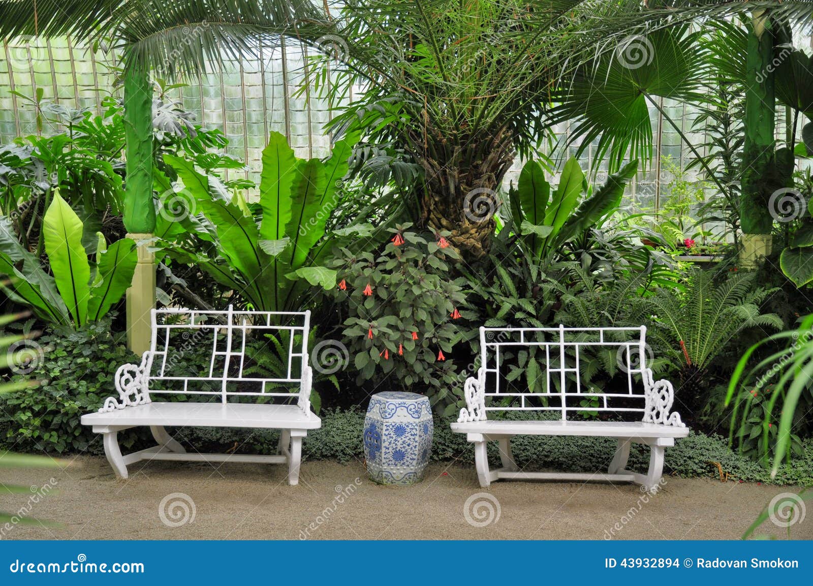 Tropical greenhouse stock photo. Image of plant, water 43932894