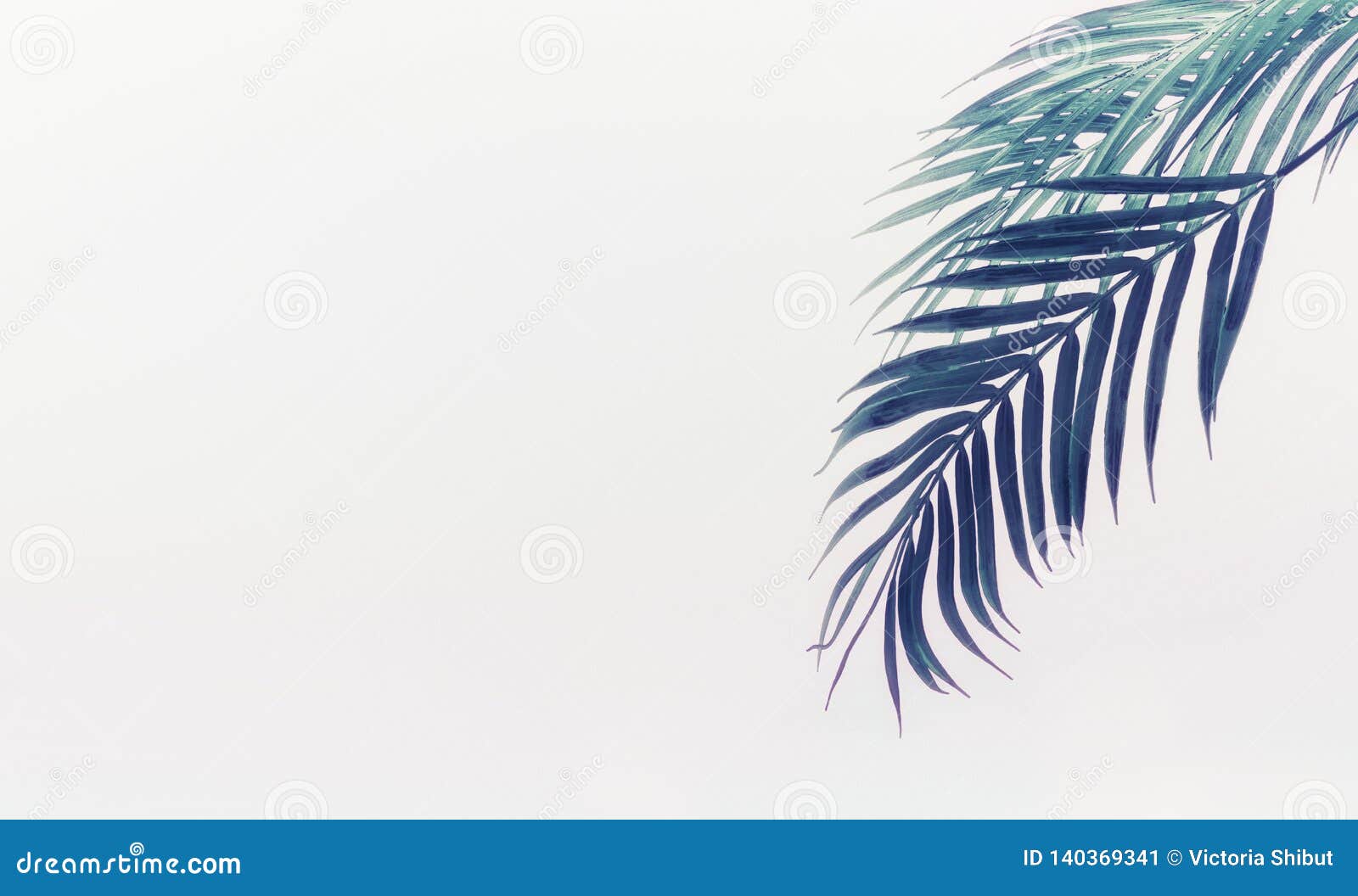 Tropical Hanging Palm Leaves at Light Background. Summer Vacation