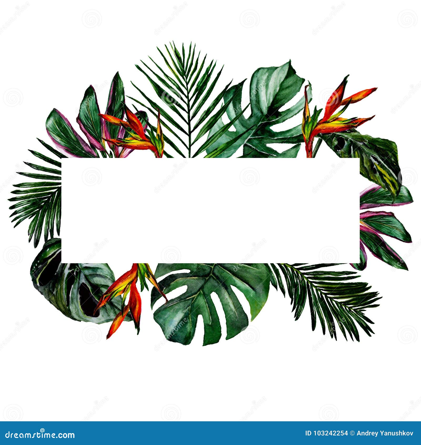 Tropical Hawaii Leaves Frame In A Watercolor Style Stock Tropical Hawaii Leaves Frame In A Watercolor Style Stock