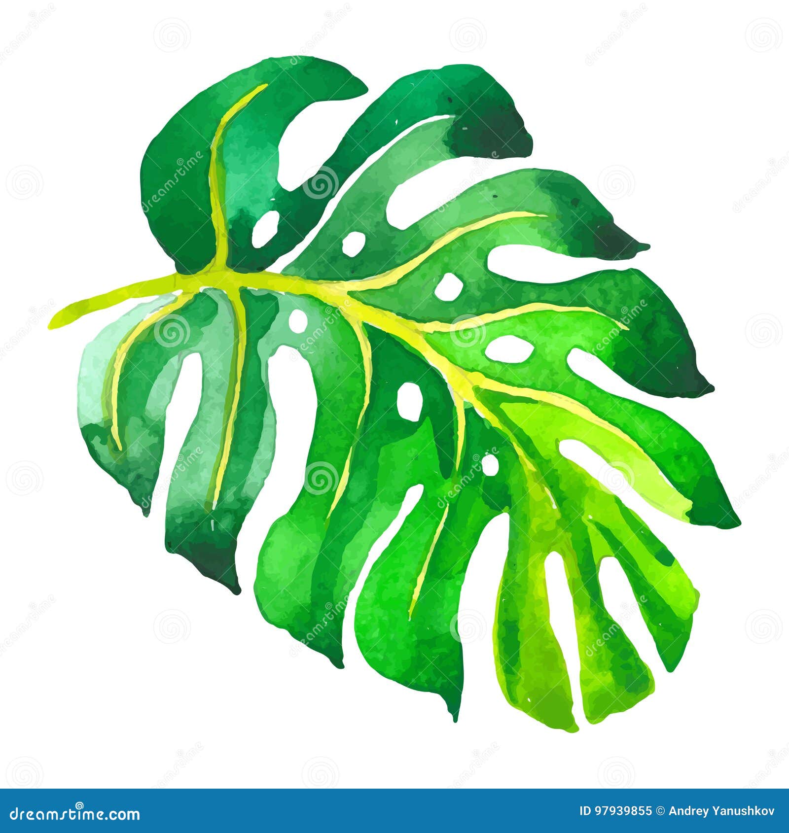 Tropical Hawaii Leaves Palm Tree in a Vector Style Isolated. Stock