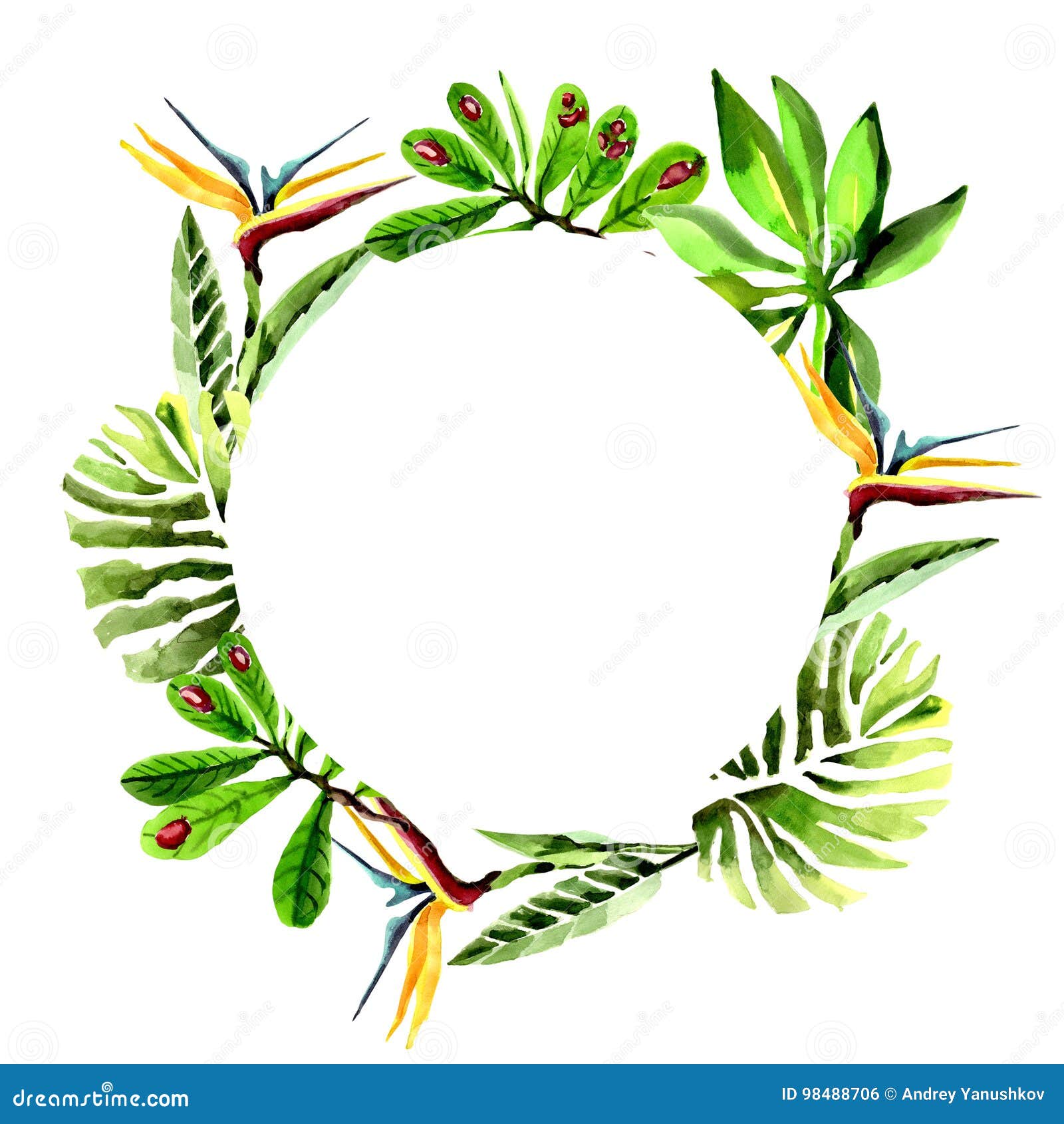 Tropical Hawaii Leaves Palm Tree Wreath in a Watercolor Style. Stock ...