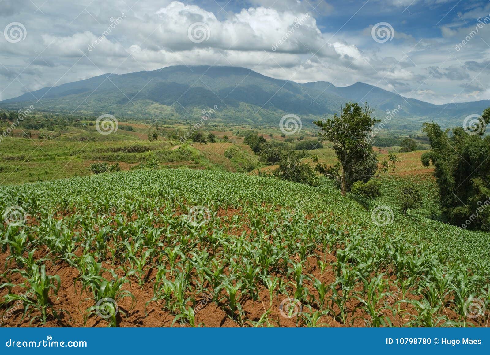 Bukidnon Plateau Stock Photos - Free \u0026 Royalty-Free Stock Photos from  Dreamstime, image size:1600x1161