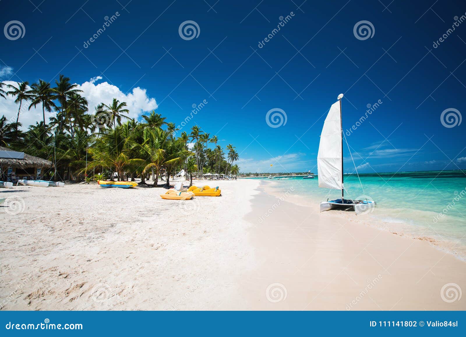 palm and tropical beach in punta cana, dominican republic