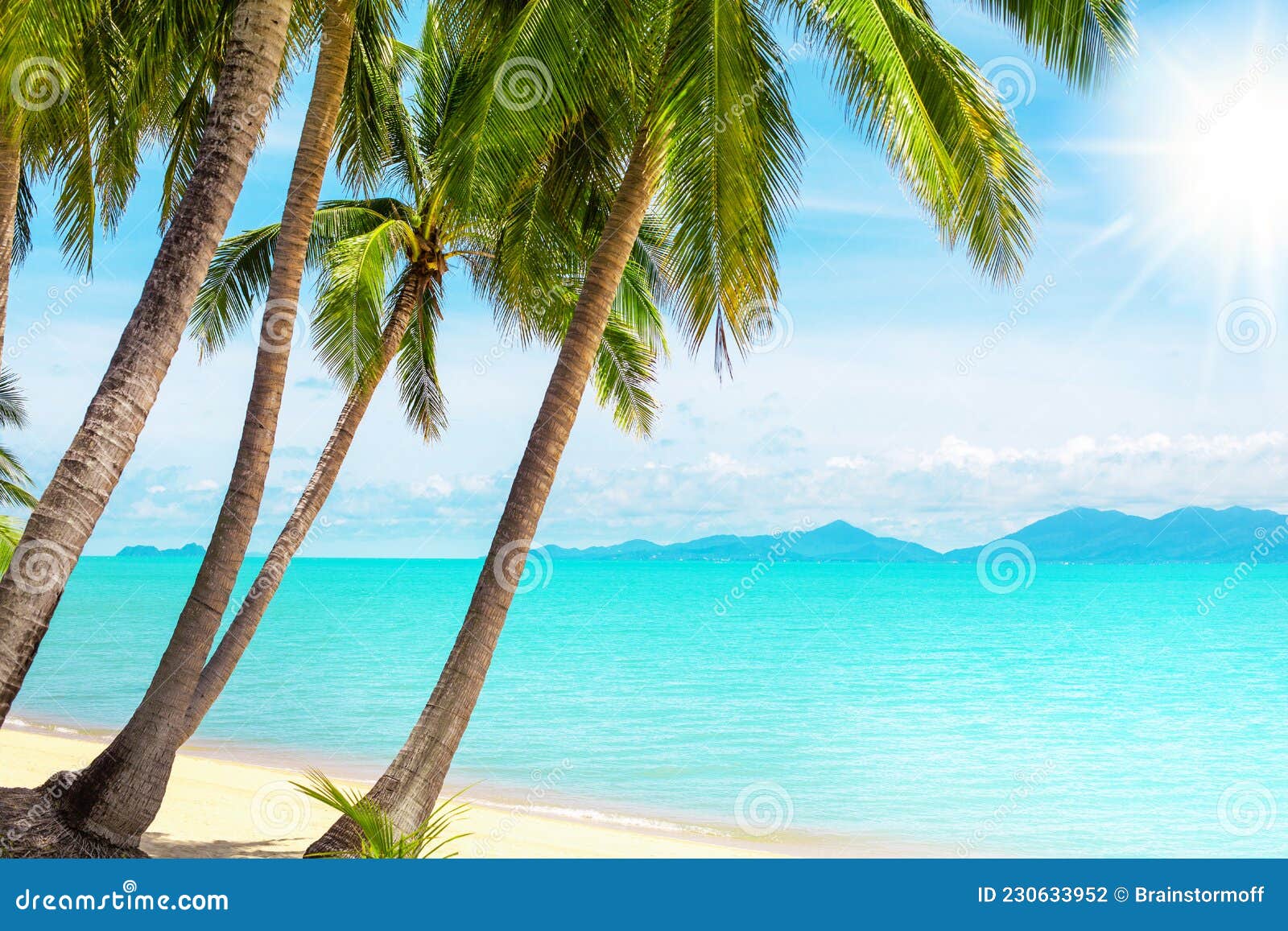 Tropical Island Beach View Exotic Beautiful Nature Landscape