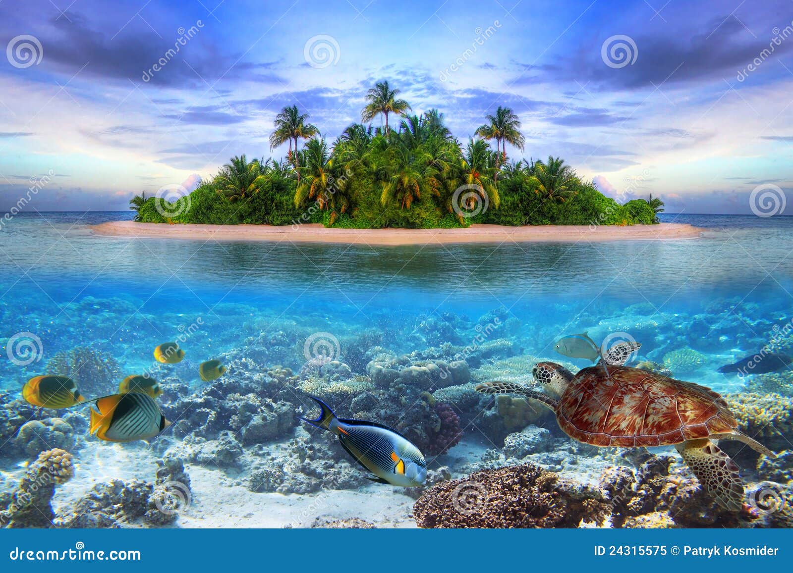 tropical island of maldives