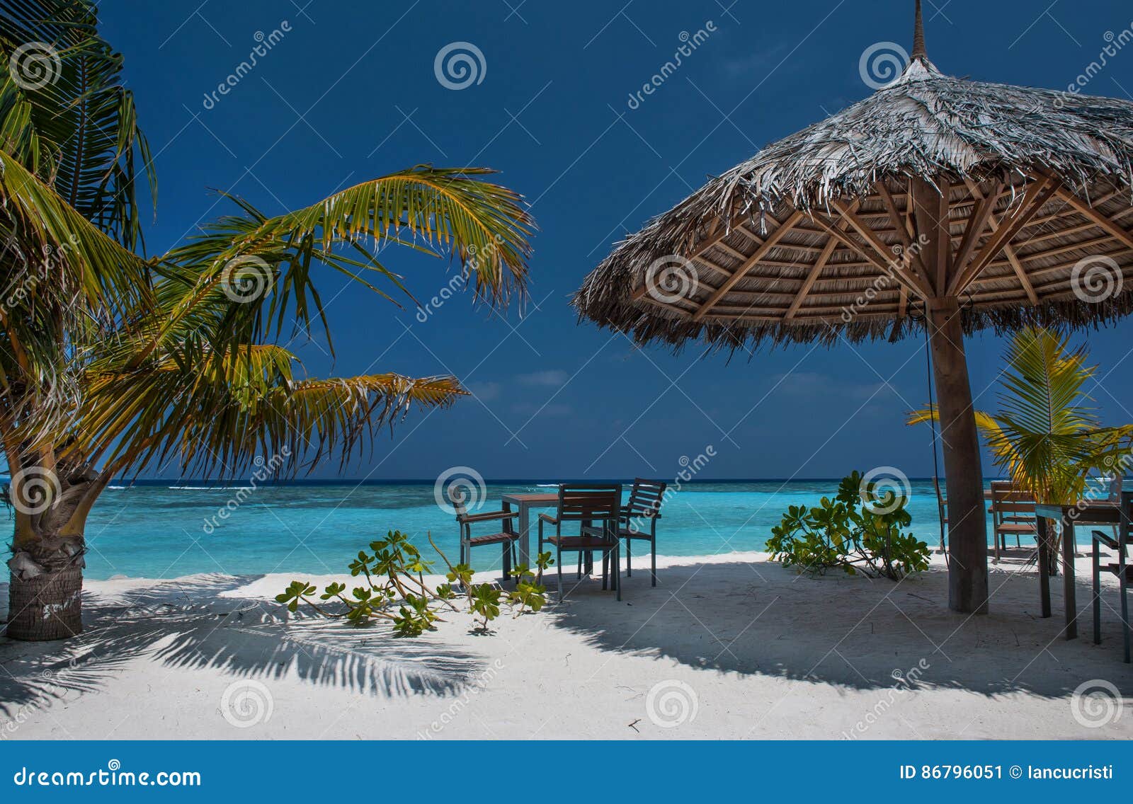 tropical island with palm trees and amazing vibrant beach in maldives. white parasol in sea tropical maldives romantic atoll