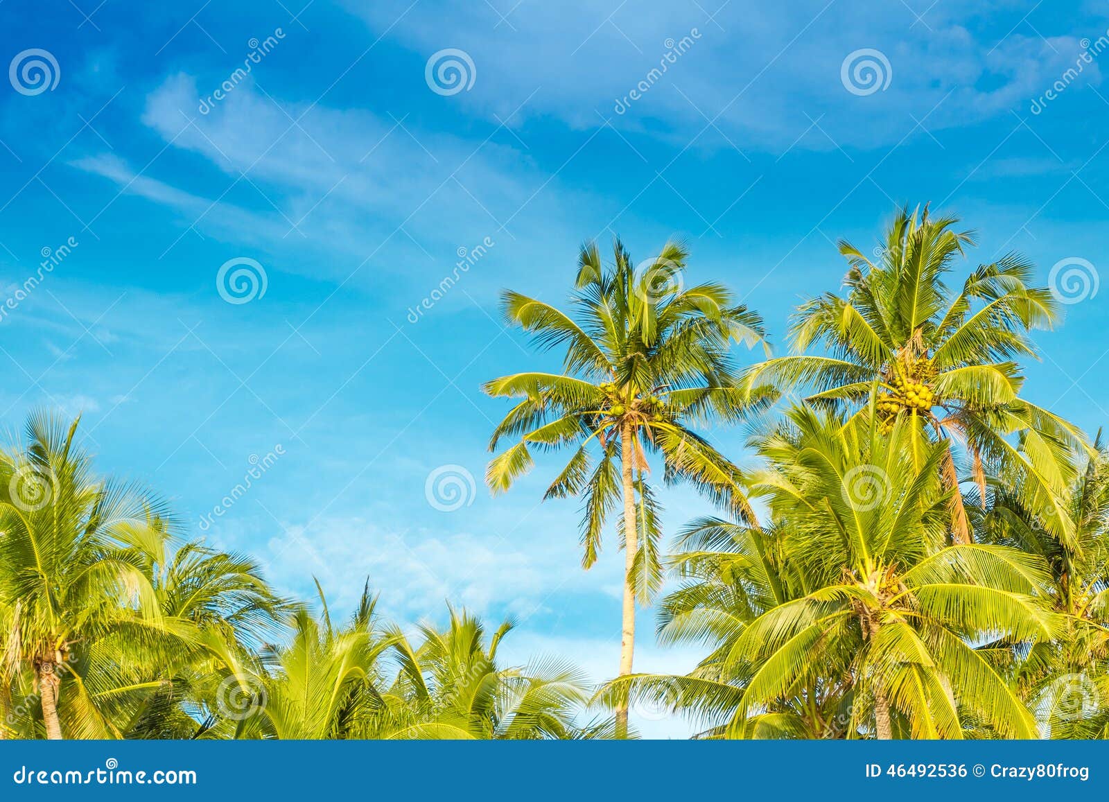 Tropical Island, Palm Trees on Sky Background Stock Photo - Image of ...