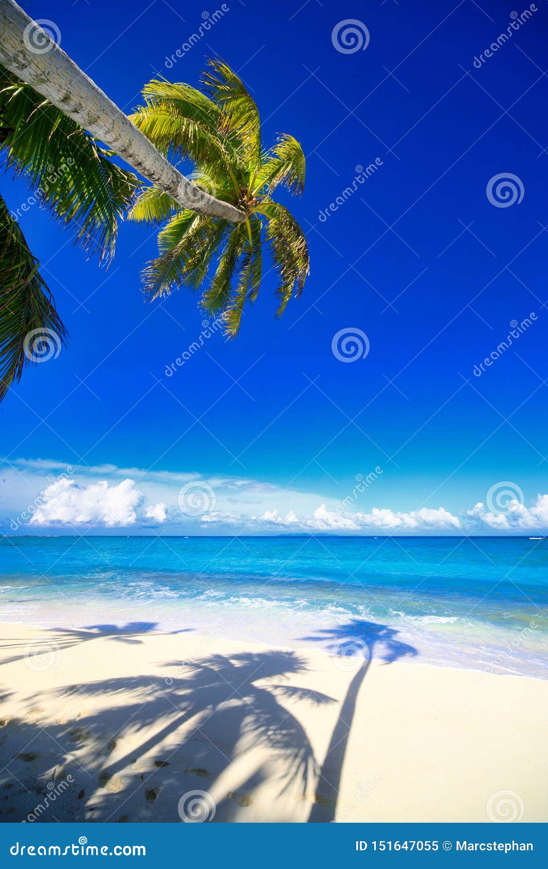 Tropical Island with a Paradise Beach and Palm Trees Stock Image ...