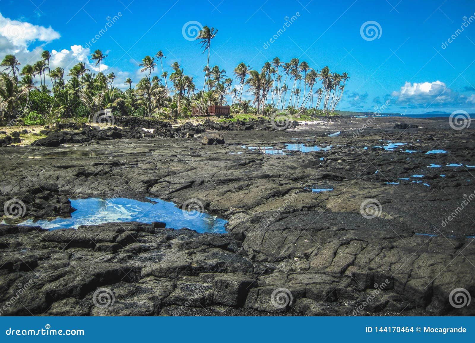 tropical island of samoa with saleaula lava field near blowholes