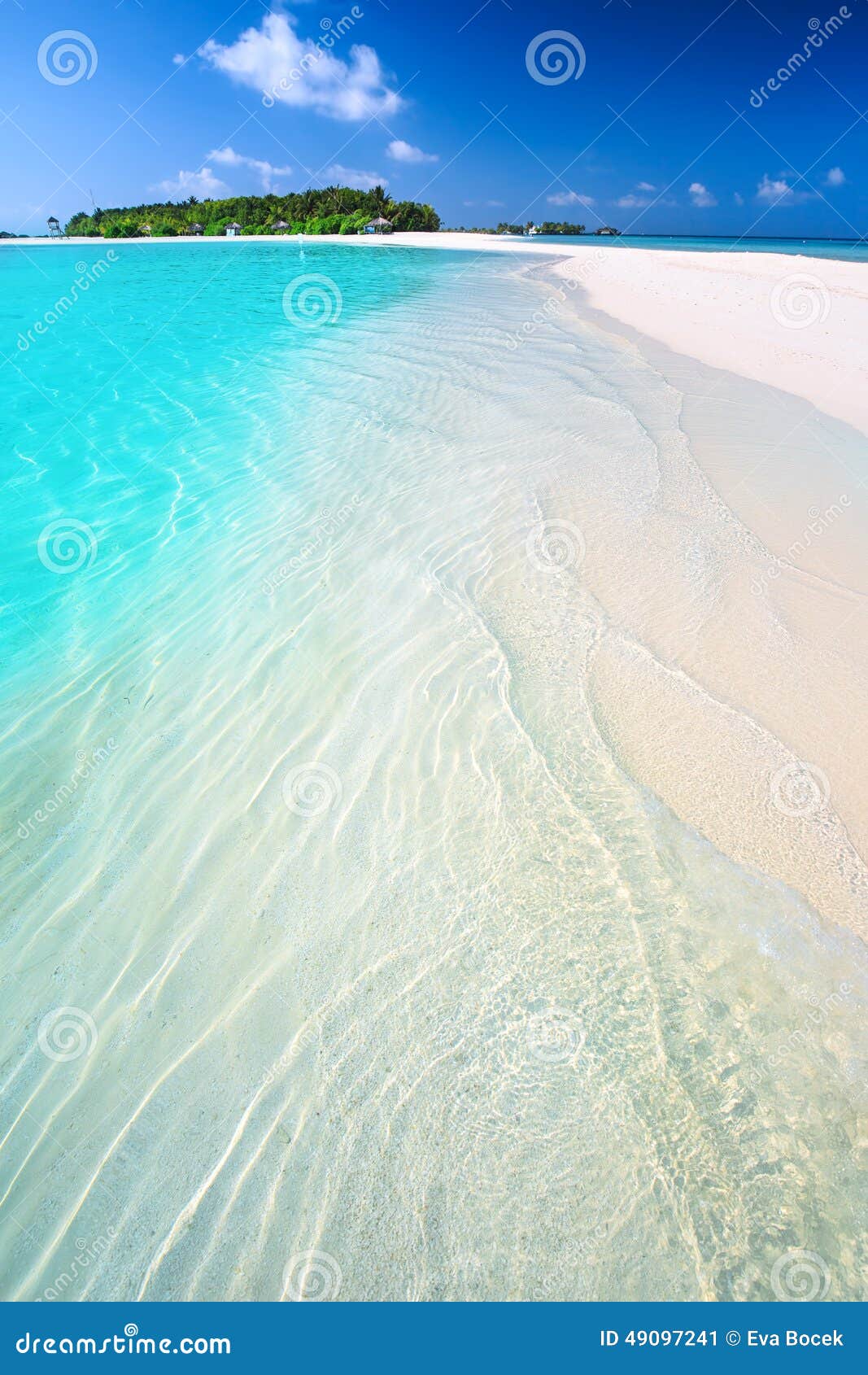 tropical island with sandy beach with palm trees and tourquise clean water in maldives
