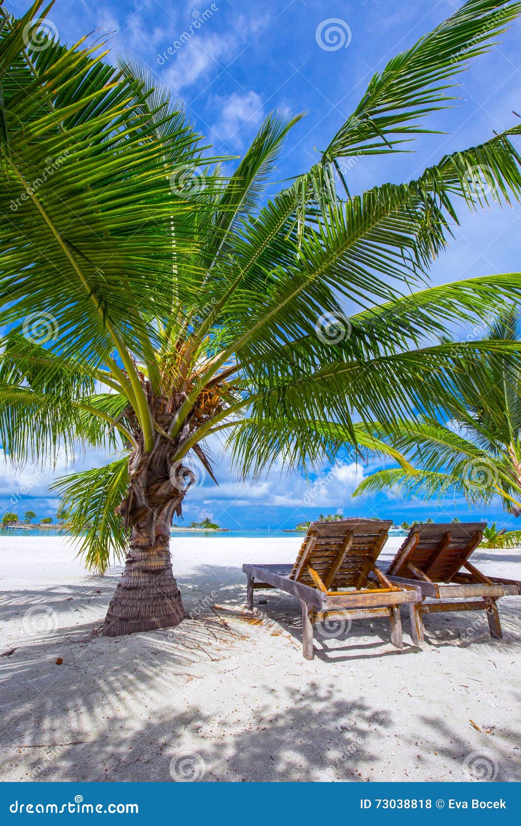 tropical island with sandy beach, palm trees and tourquise clear water.