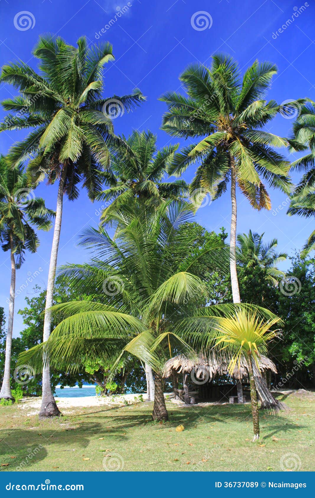 Tropical landscape stock image. Image of seychelles, indian - 36737089