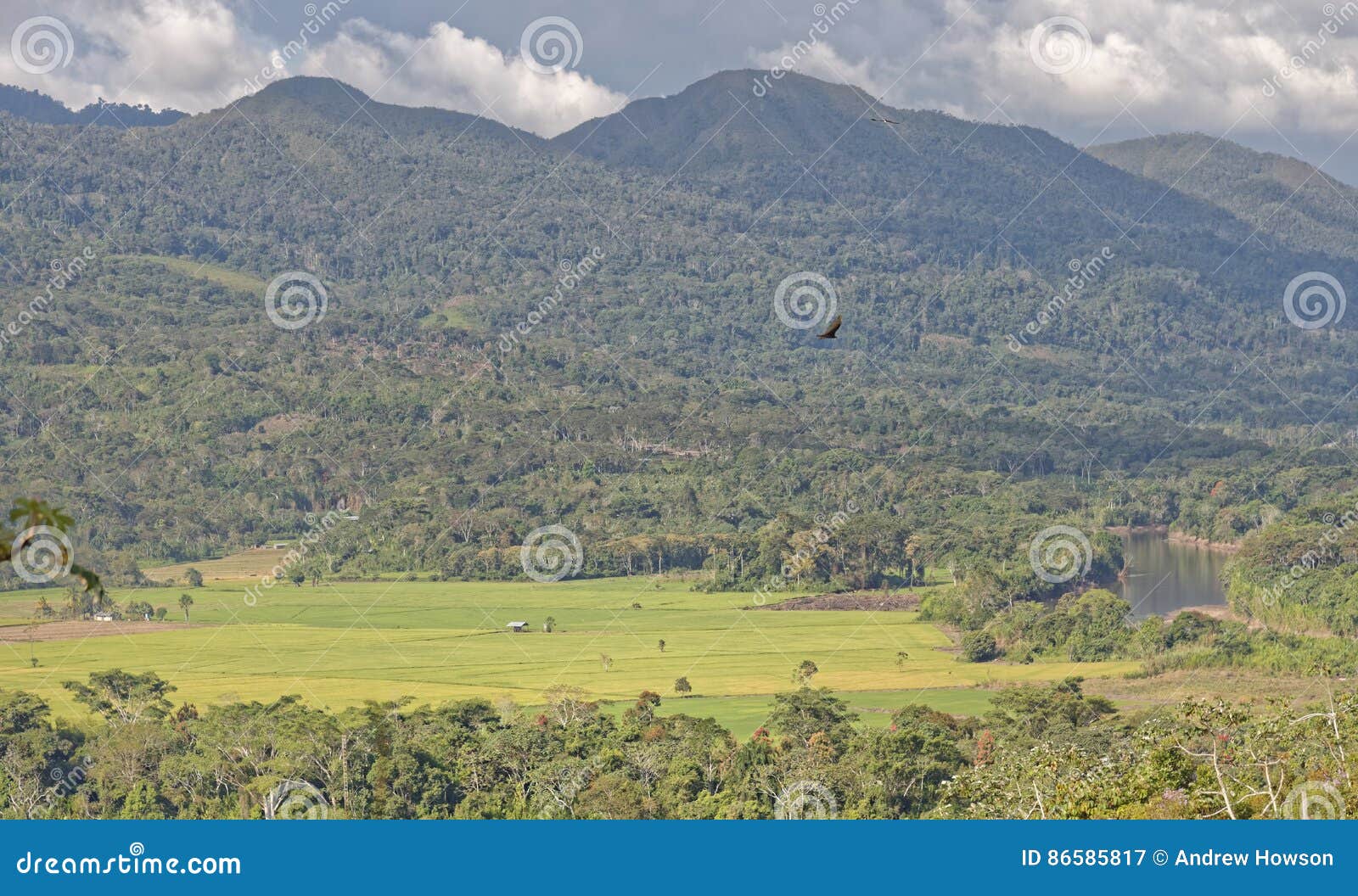 tarapoto, peru: tropical landscape and lake