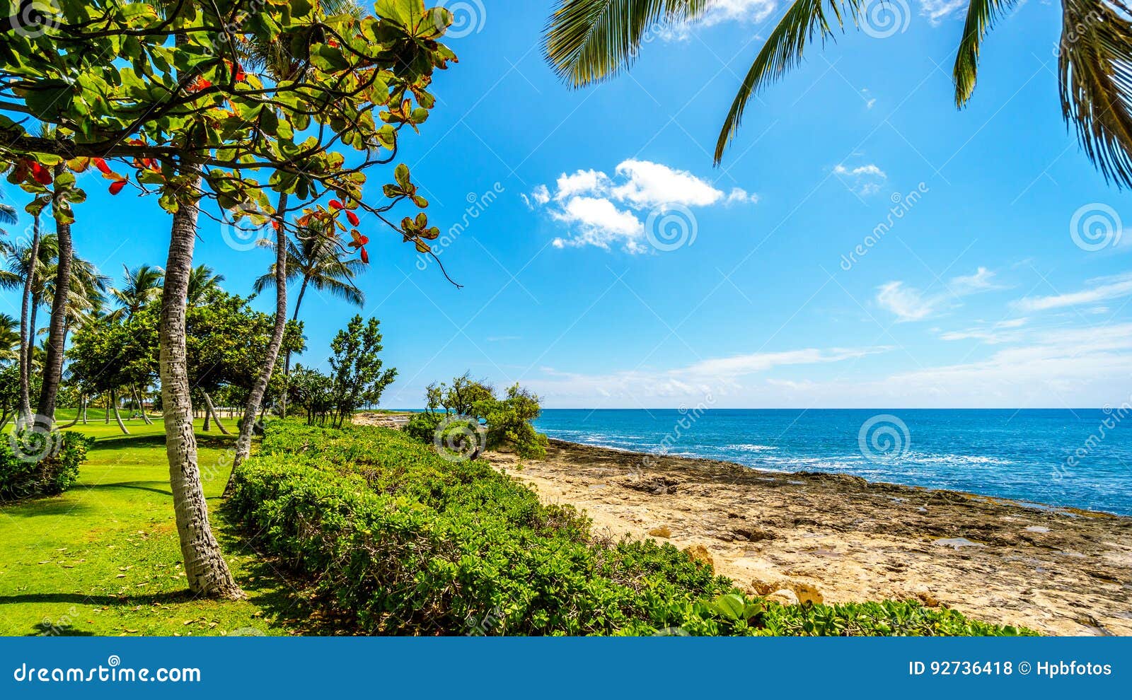 tropical landscape and ocean view at the ko olina lagoons