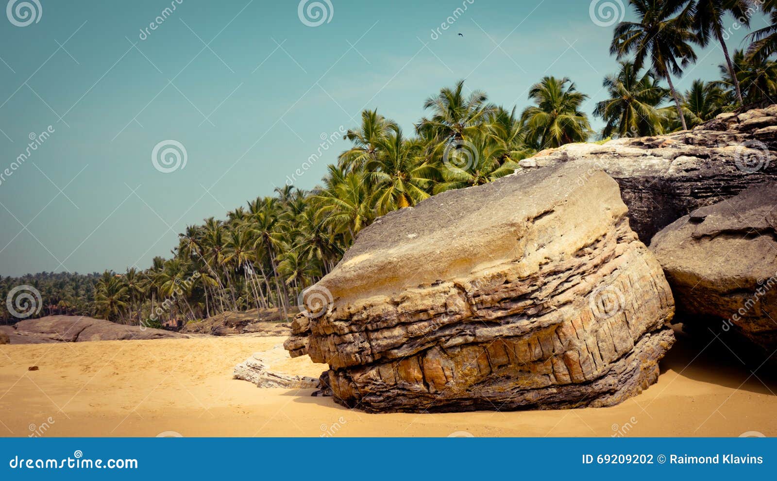 Tropical Landscape With Rock And Palm Trees At Background Stock