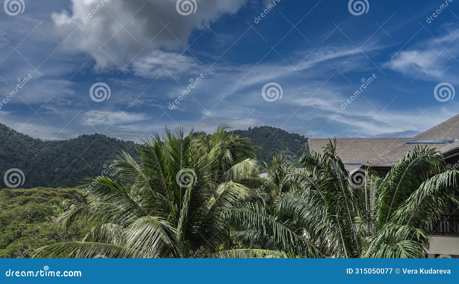 a tropical landscape. sprawling crowns of palm trees, lush green vegetation