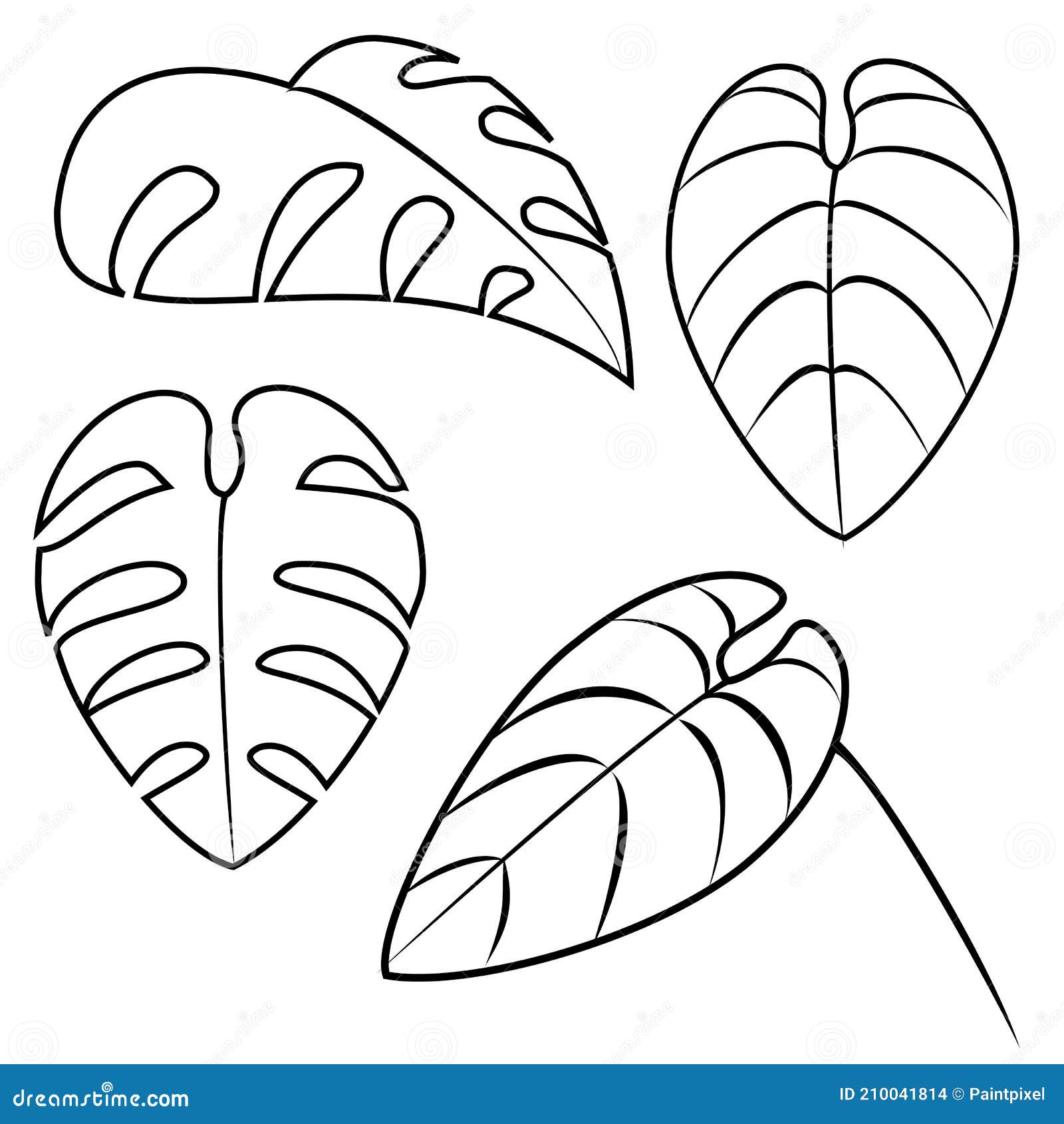 Tropical Leaf Black Outlines Stock Vector - Illustration of jungle