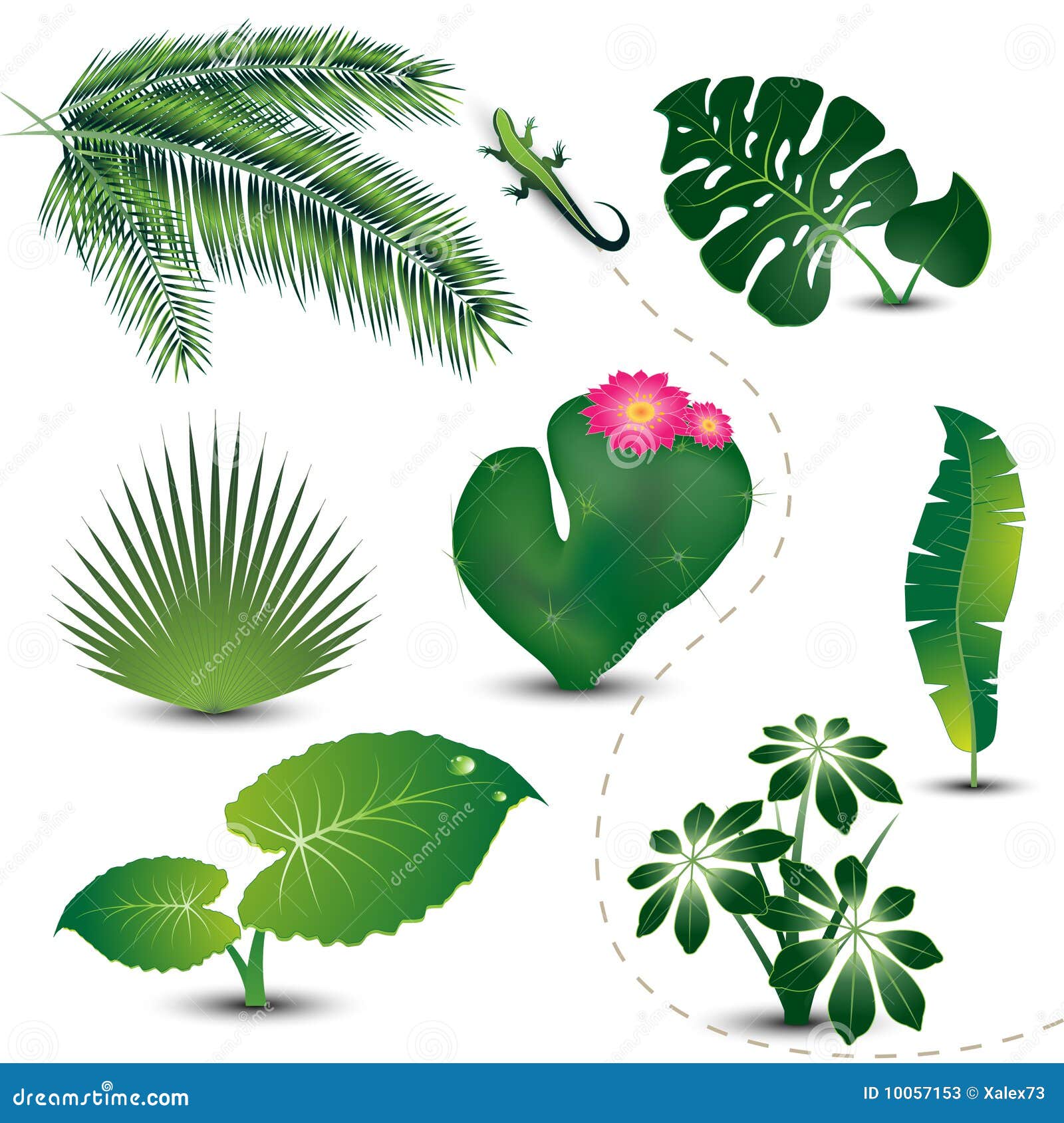 Tropical Leaves Stock Illustrations – 397,808 Tropical Leaves Stock  Illustrations, Vectors & Clipart - Dreamstime