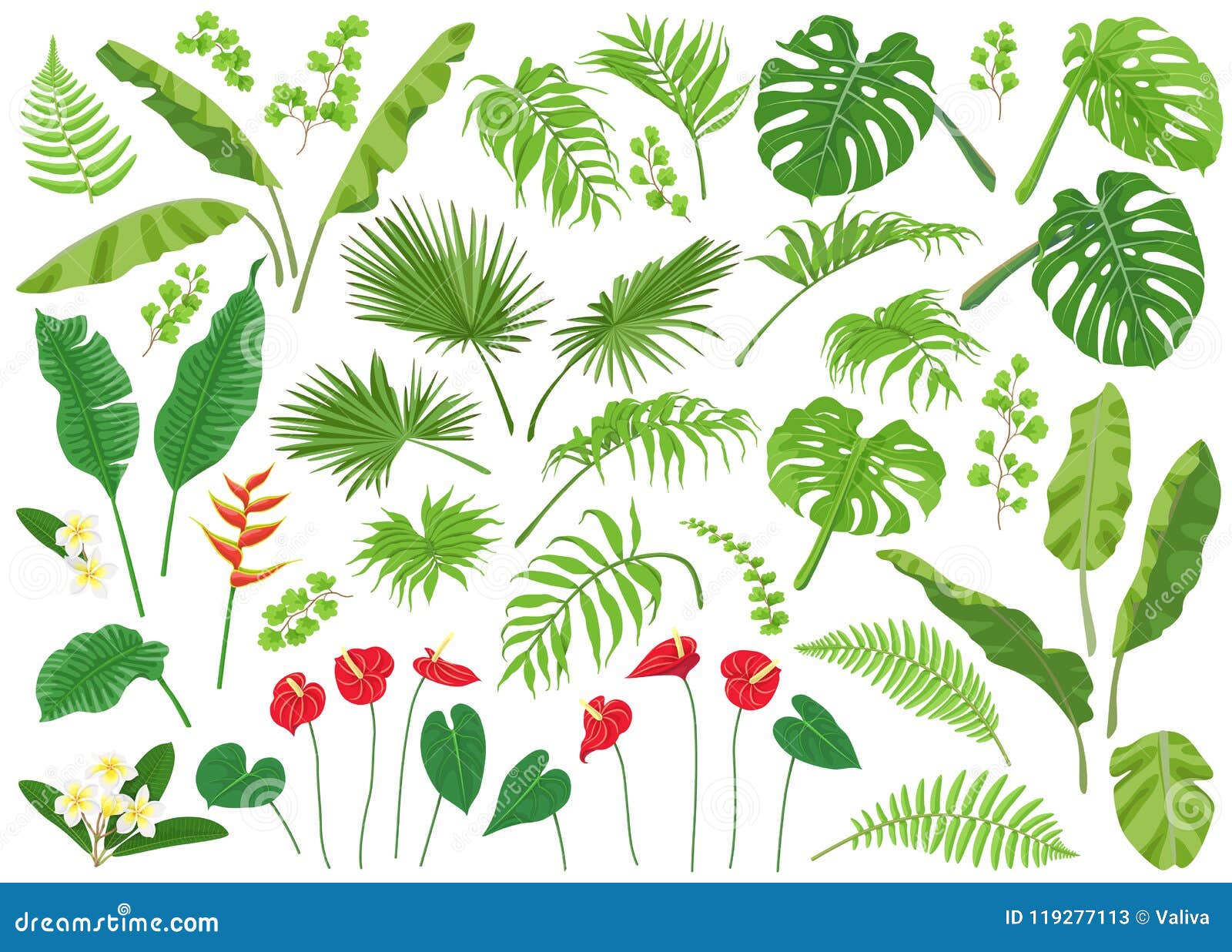 Tropical Leaves Stock Illustrations – 397,808 Tropical Leaves Stock  Illustrations, Vectors & Clipart - Dreamstime