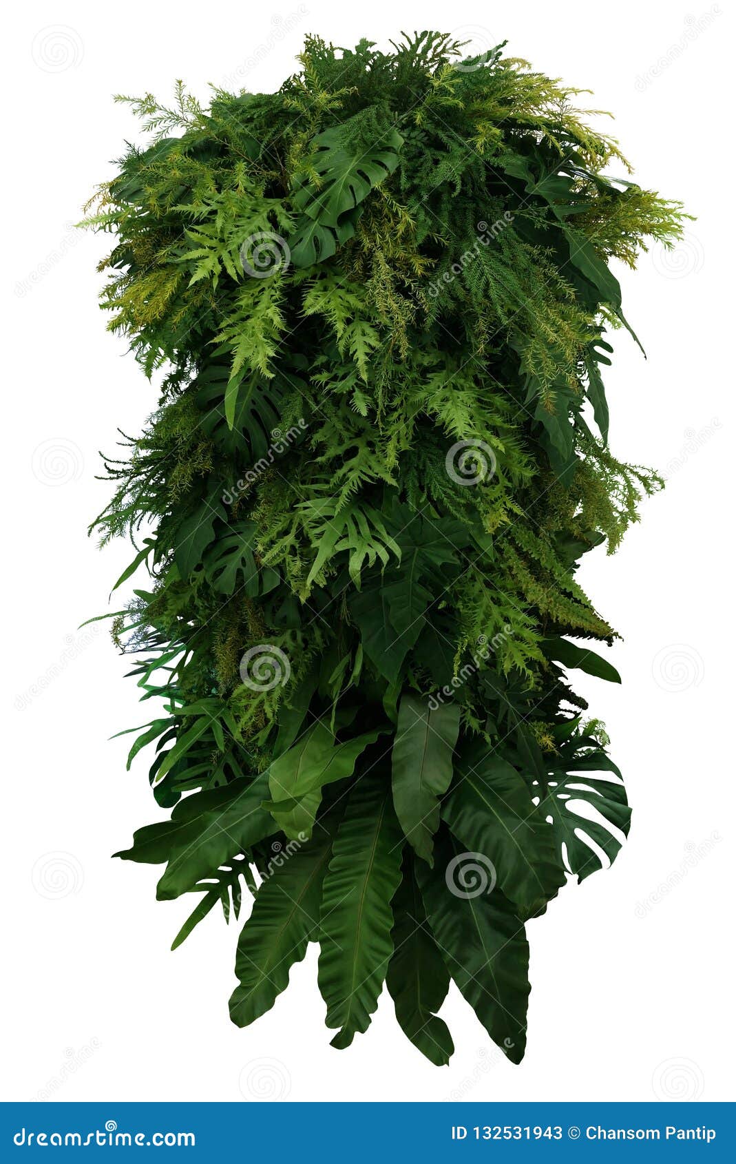 tropical leaves foliage plant bush floral arrangement, vertical