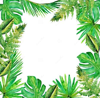 Tropical Leaves. Watercolor Illustration. Stock Illustration ...