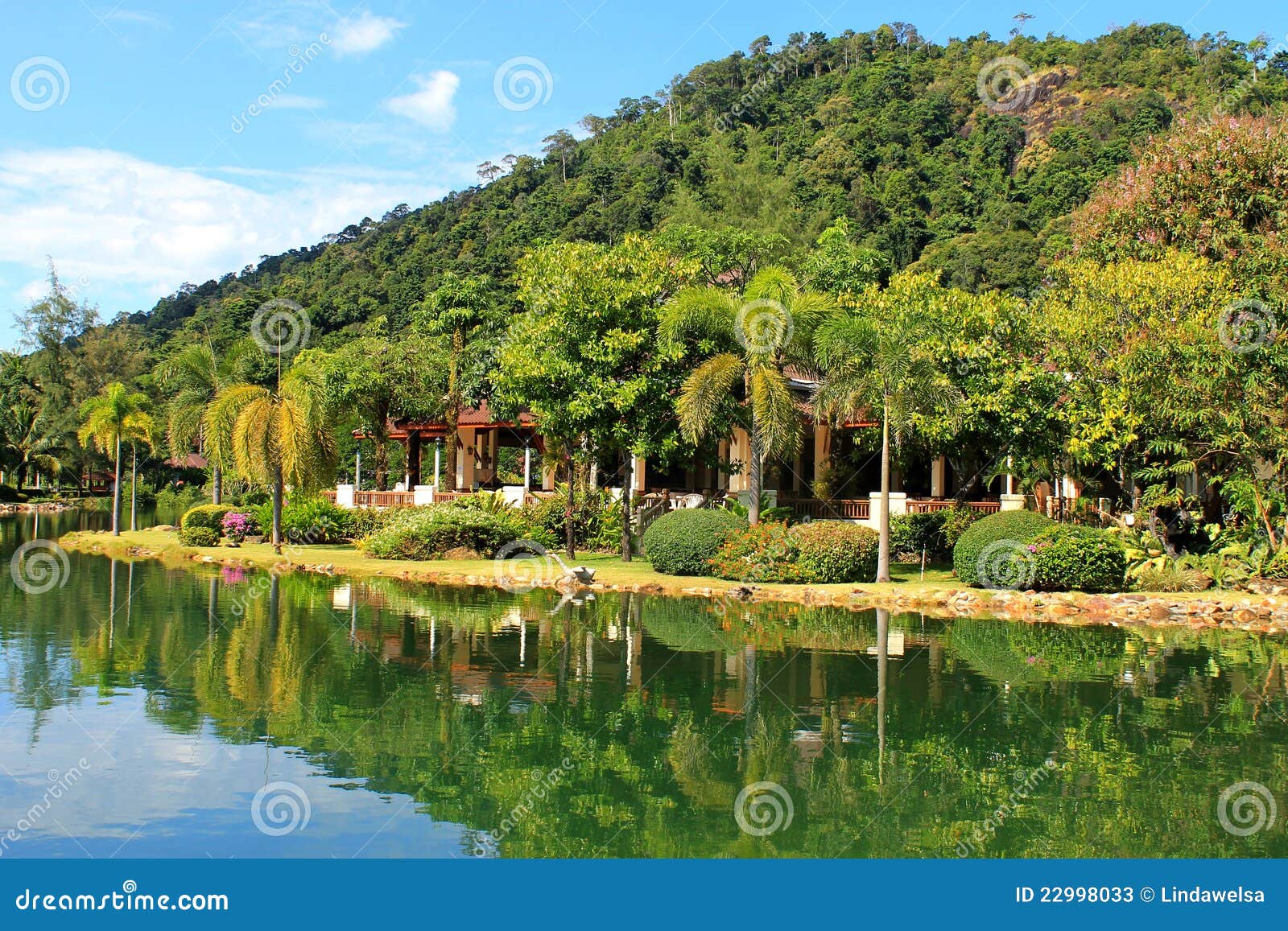 Tropical nature near lake stock image. Image of pond 22998033
