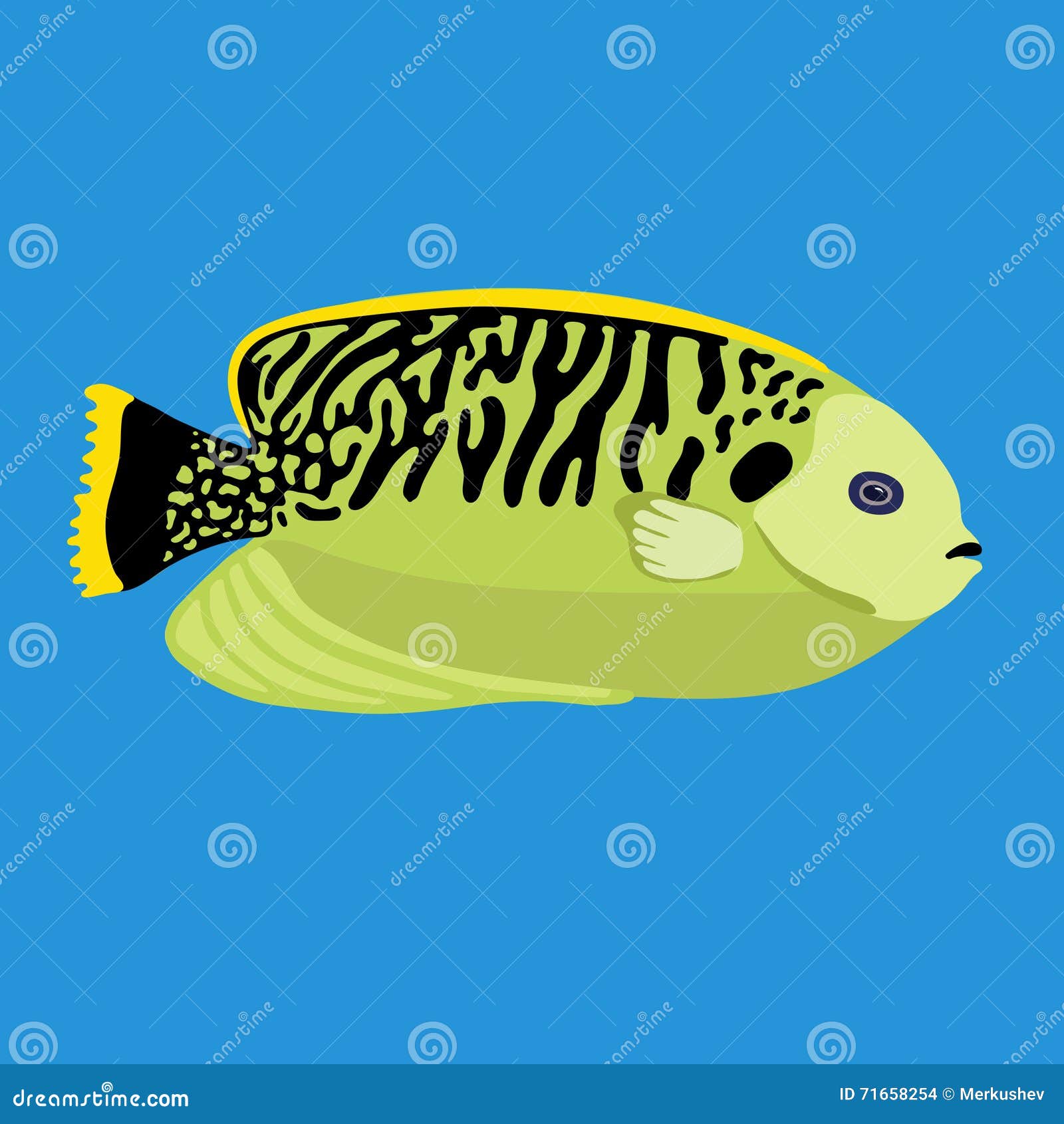 Download Tropical Ocean Fish, Vector Illustration Stock Vector - Illustration of tropical, vector: 71658254