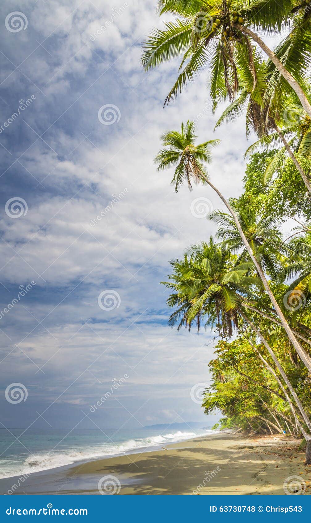 Tropical Palm Fringed Beach Stock Photo - Image of ocean, spray: 63730748