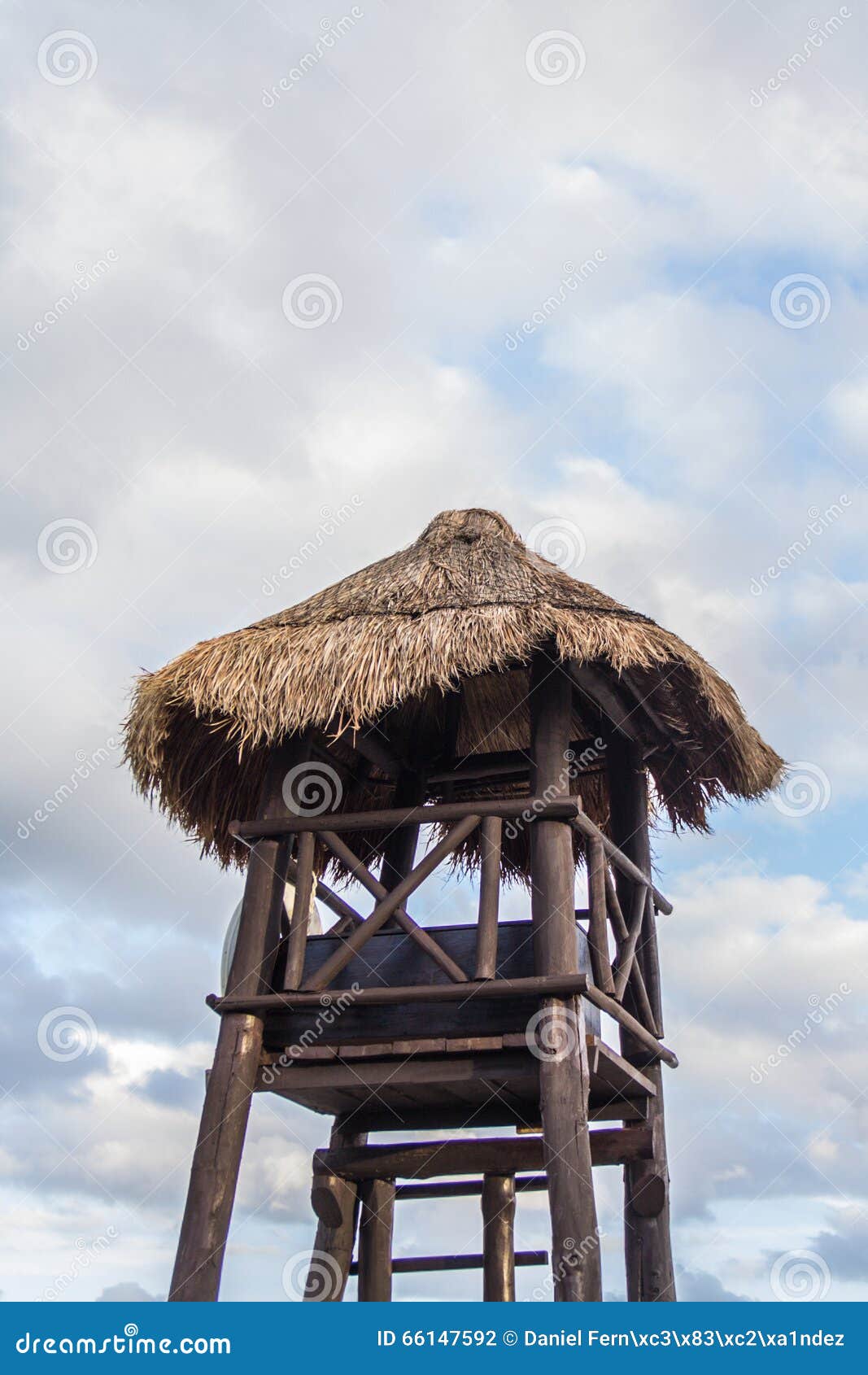 tropical palm hut