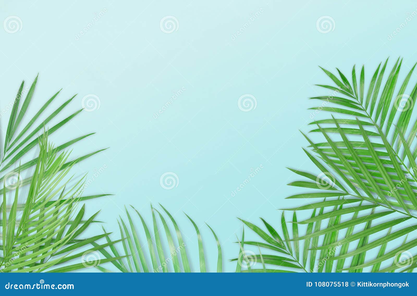 Tropical Palm Leaves on Light Blue Background. Minimal Nature Stock