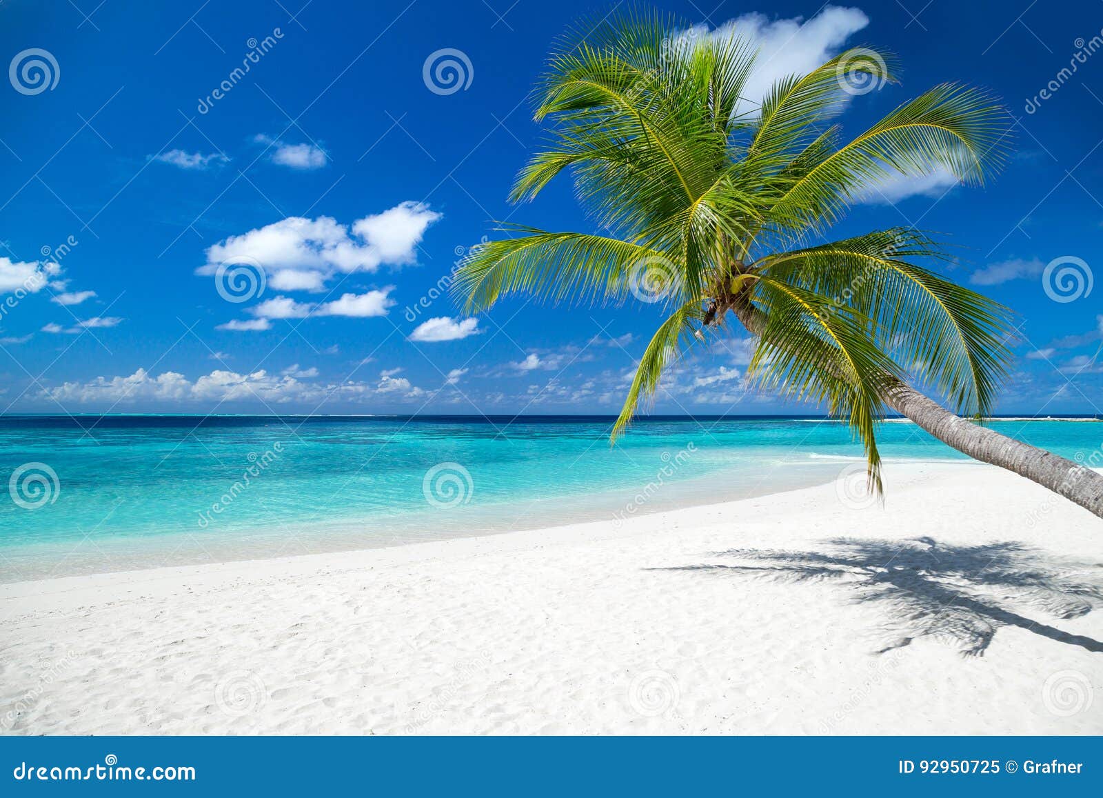 Tropical Paradise Beach Background Stock Image - Image of caribbean ...