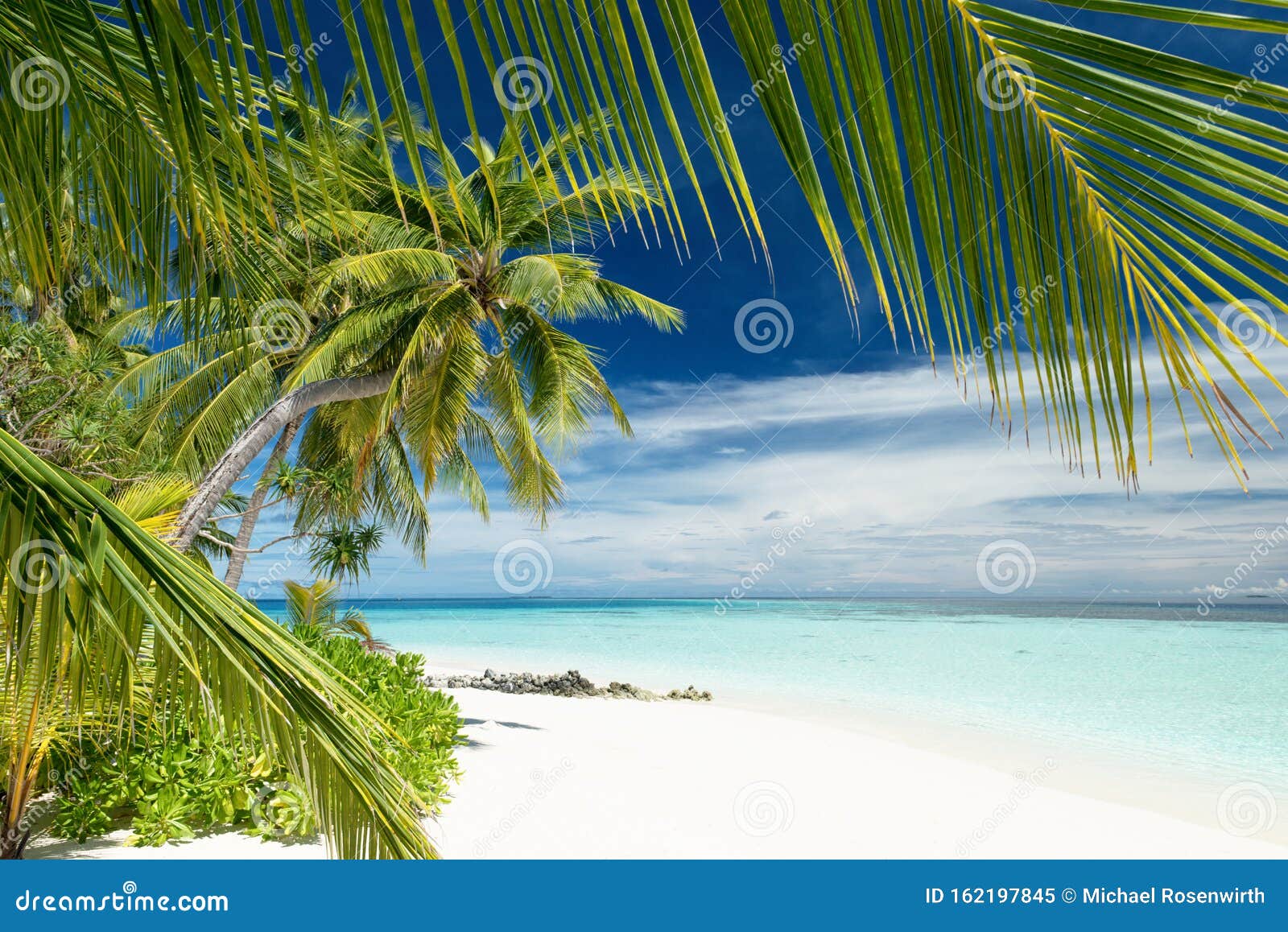 Tropical Paradise Beach Stock Image Image Of Coconut