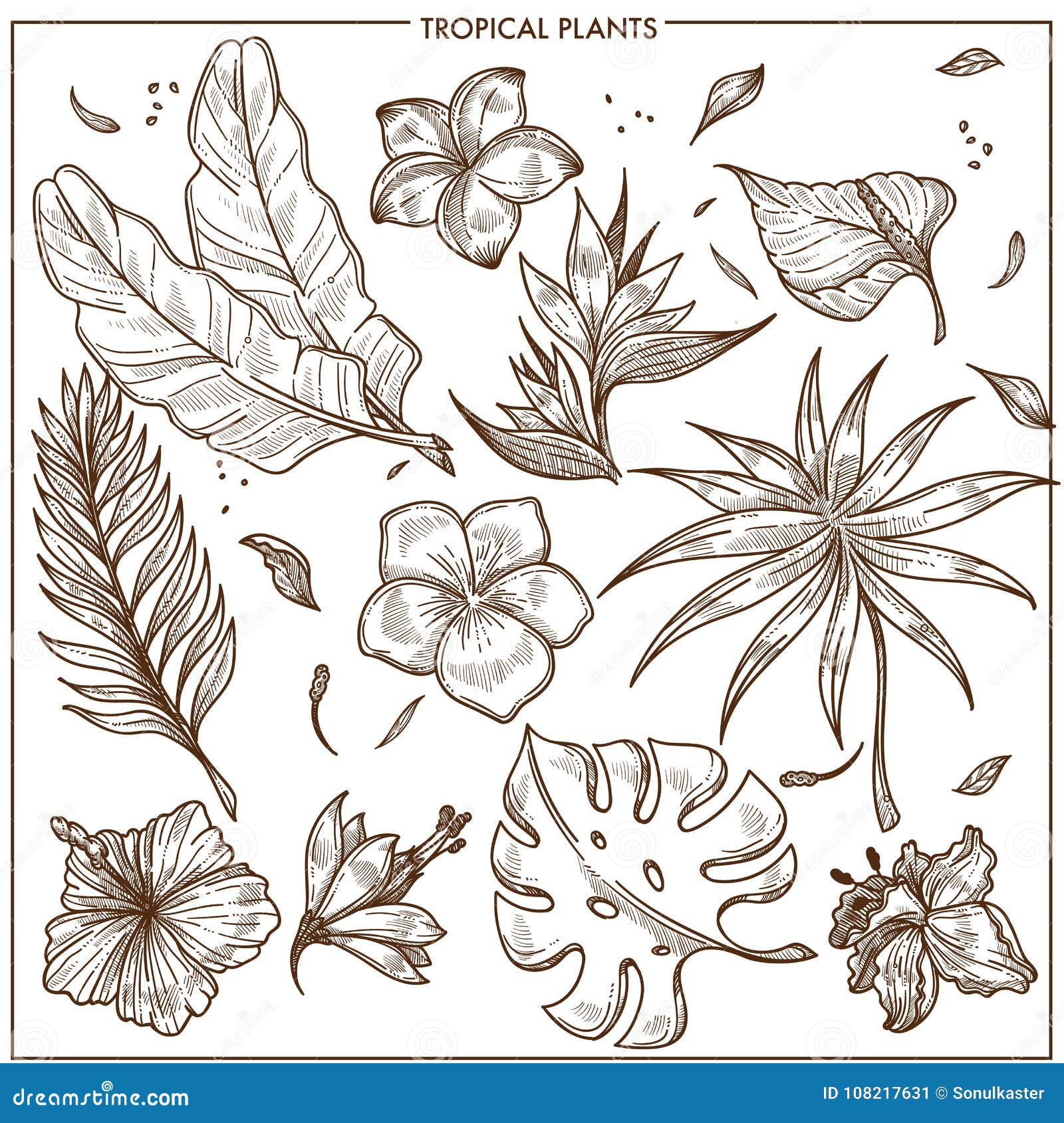 Hand drawn tropical hibiscus flower bouquet with leaves Sketch florals on  white background Exotic blooms engraving style for textile surface desig  Stock Vector Image  Art  Alamy