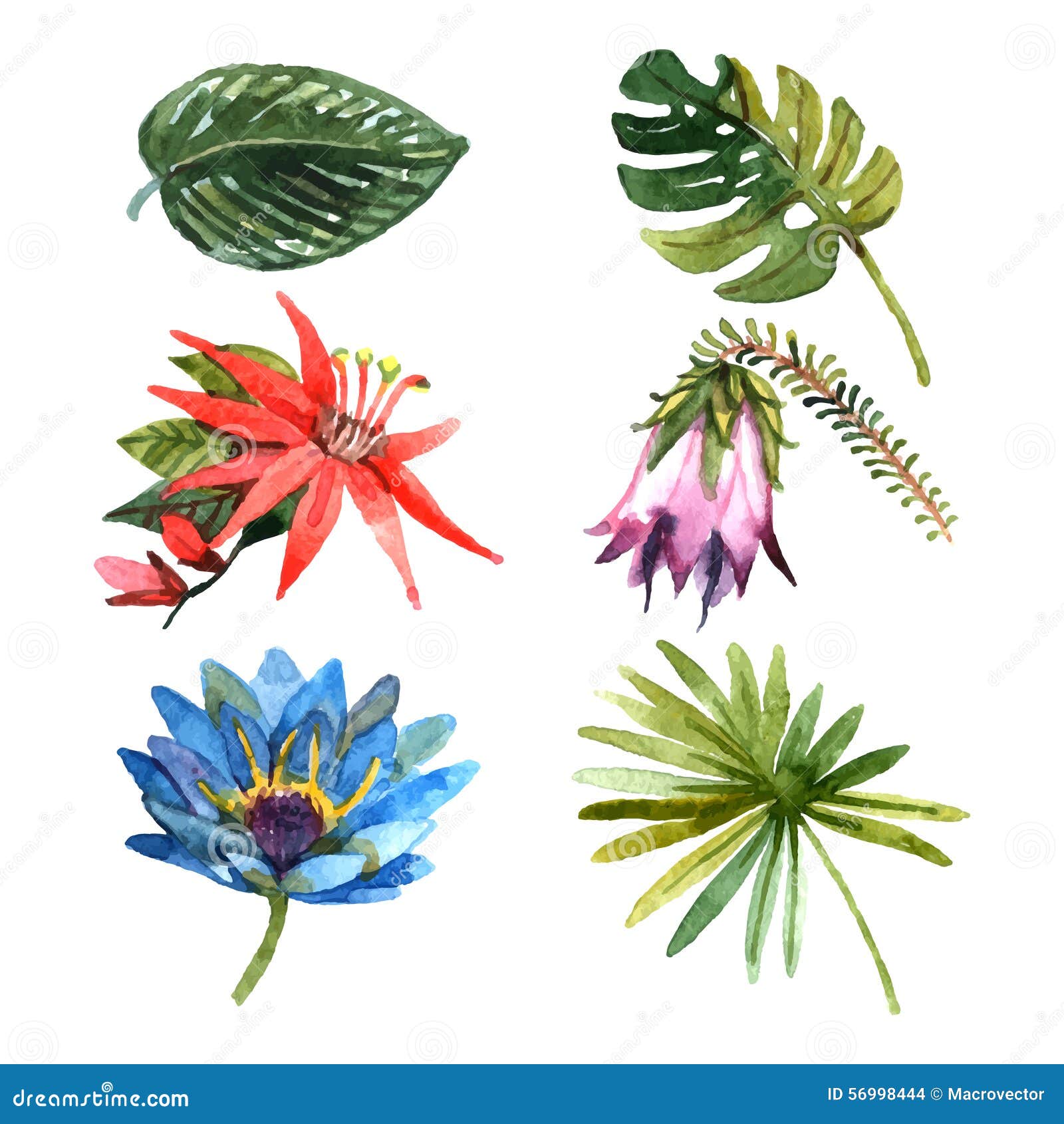 How to Draw a Tropical Flower Easy  YouTube