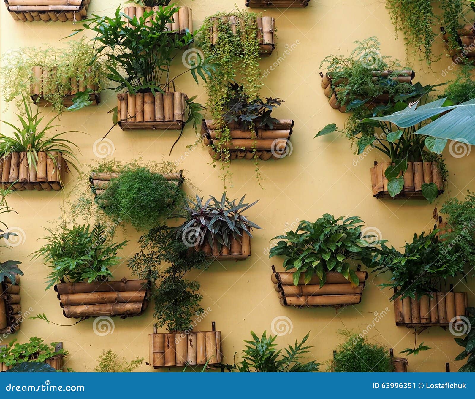 Tropical Plants in Planters in Cuba Stock Image Image of attraction