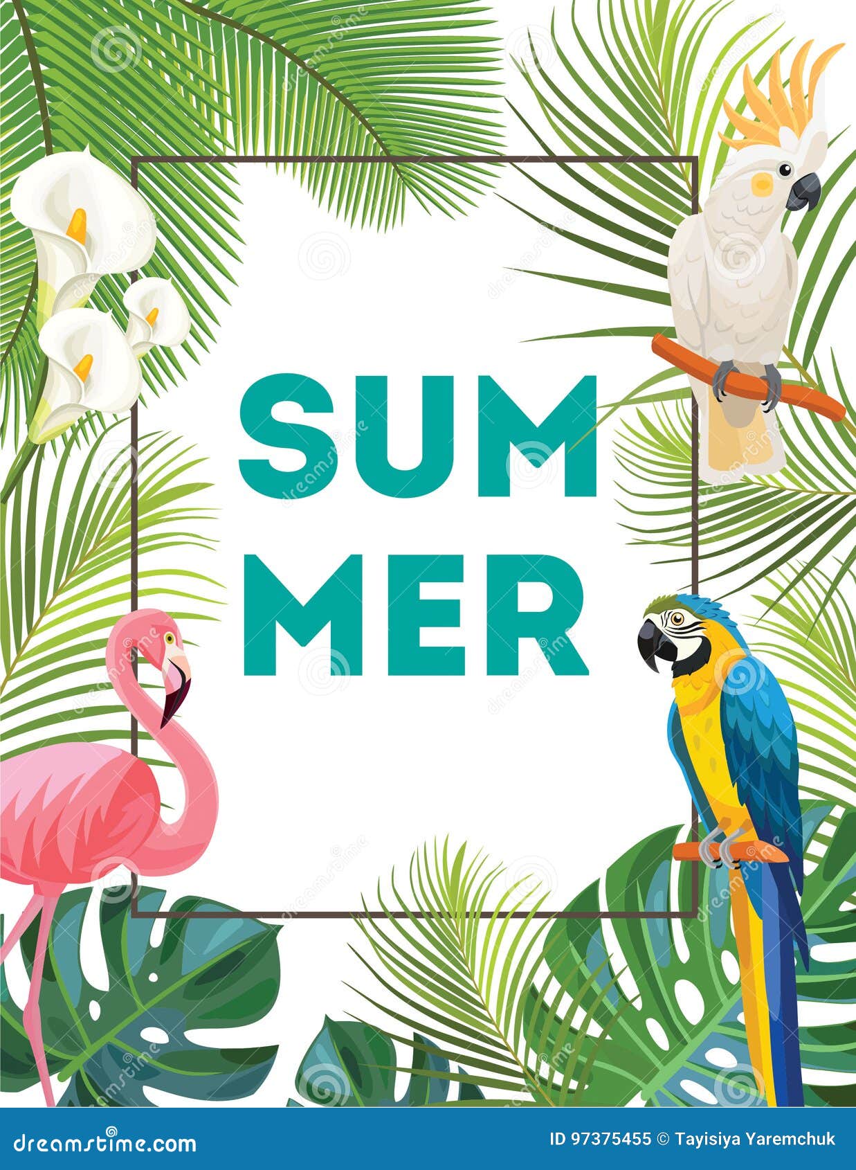 Tropical Postcard with Birds. Stock Illustration Illustration of lily