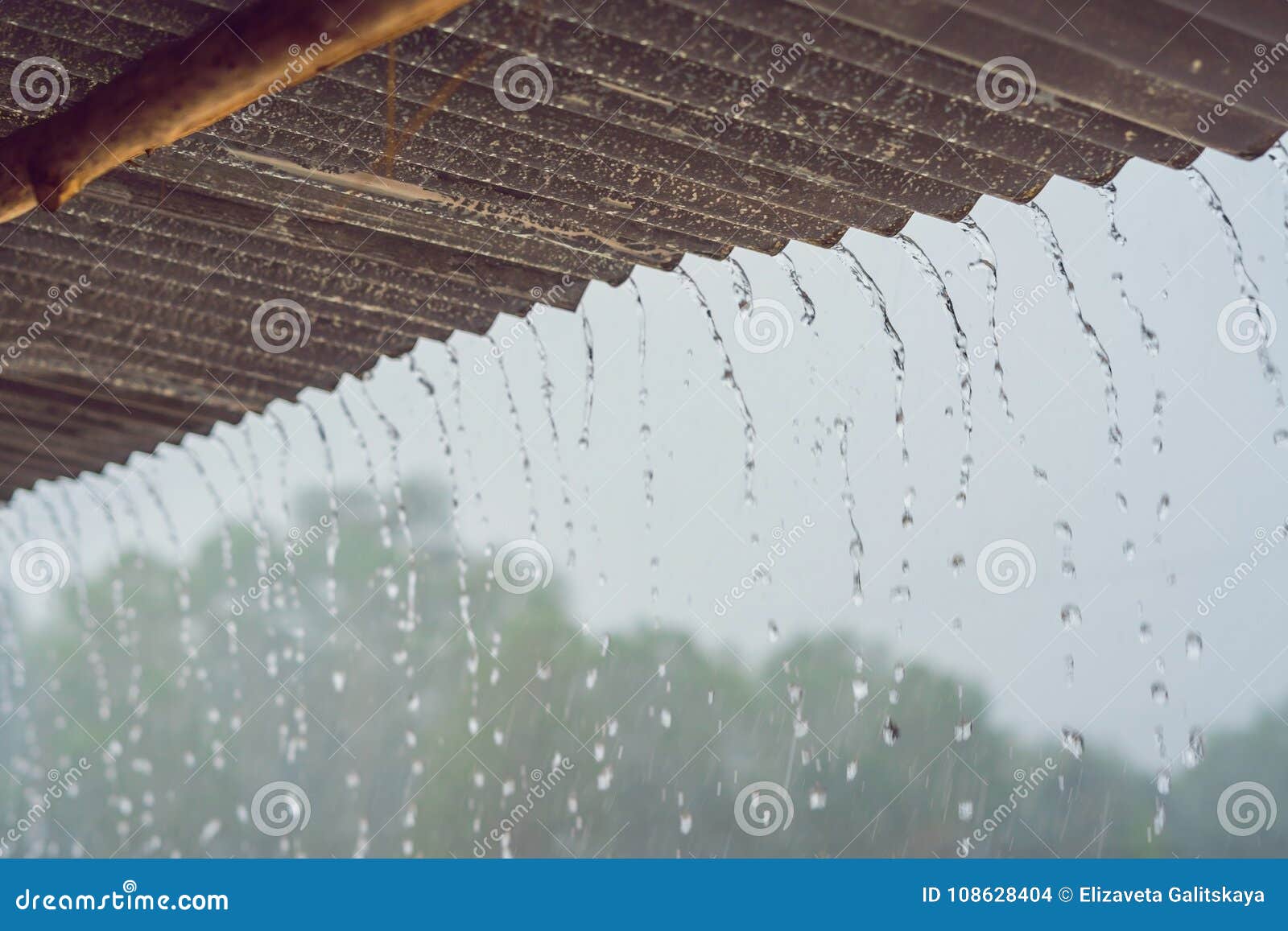 Tropical Rain Breaks Down from the Roof Stock Photo Image of