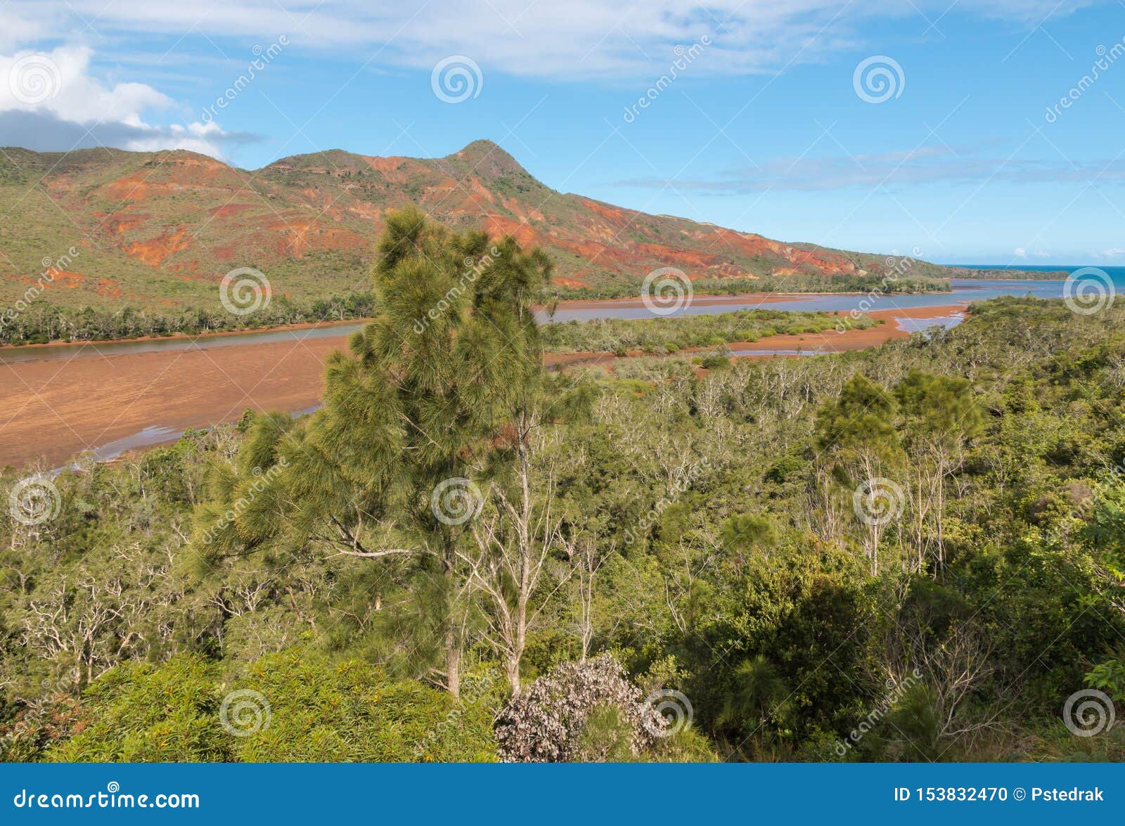 tropical rainforest above pirogues river estuary in new caledonia