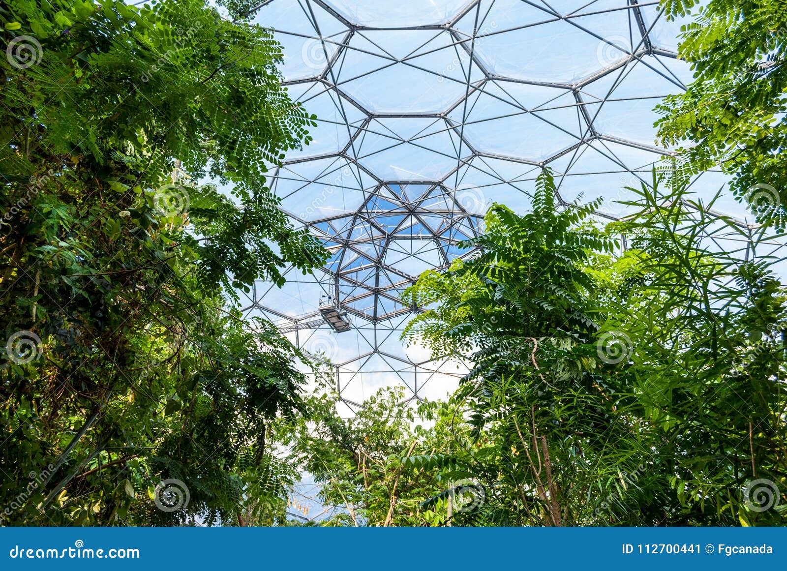 Tropical Vegetation Inside Eden Bio-dome. Editorial Photo - Image of green, plants: 112700441