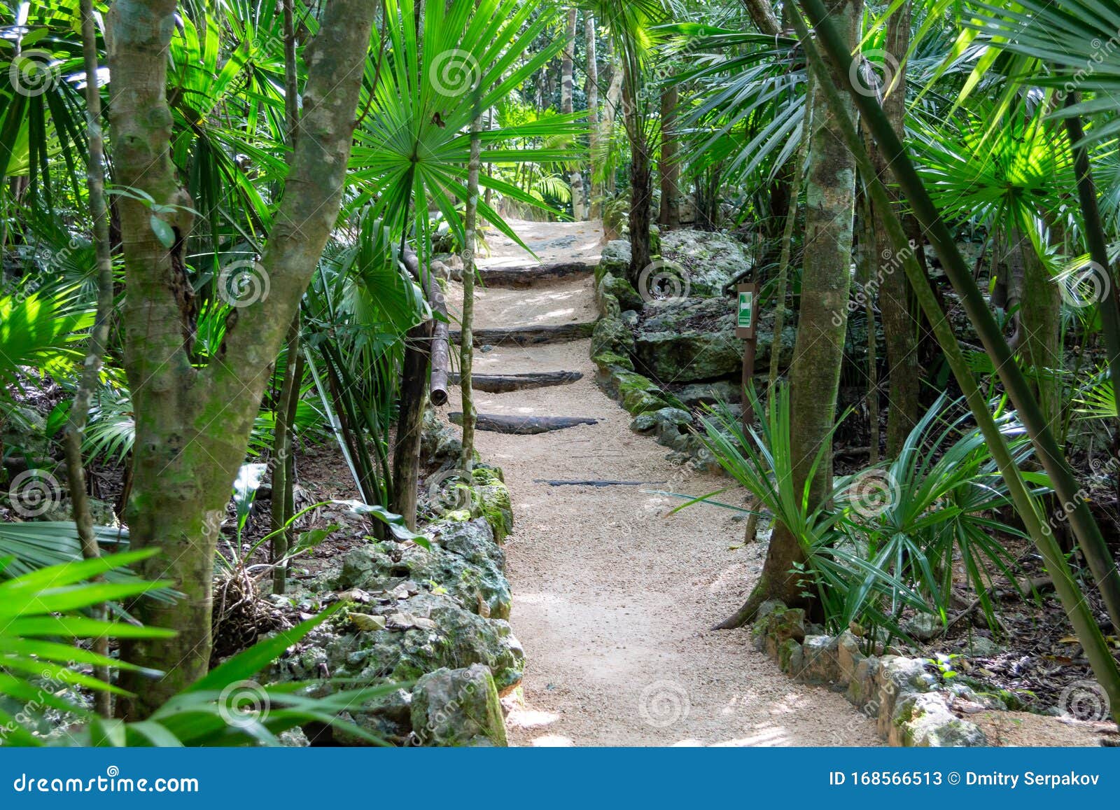Footpath In A Tropical Jungle Stock Image Image Of Adventure People