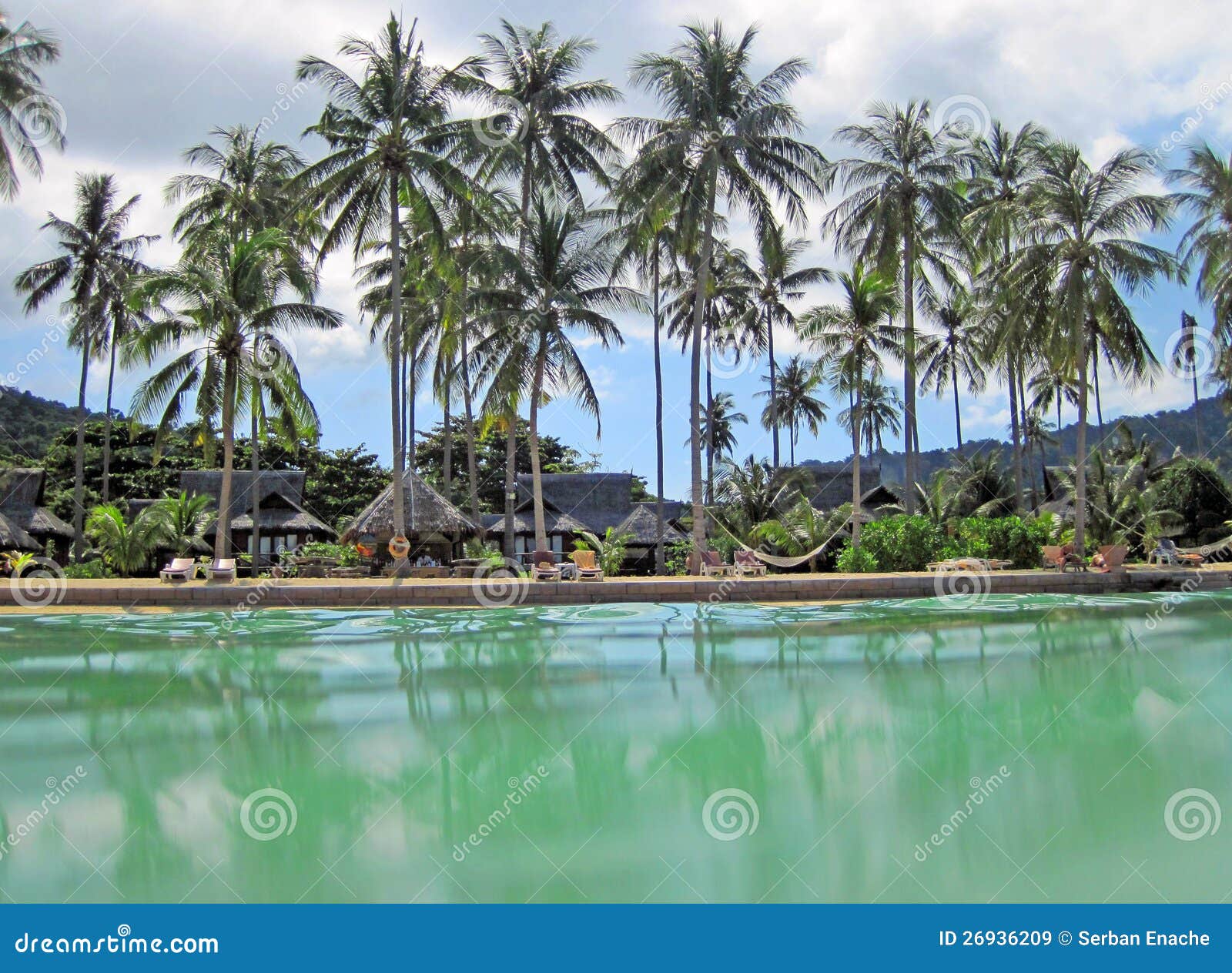 Tropical Resort And Palm Trees Stock Image - Image of beauty, landscape