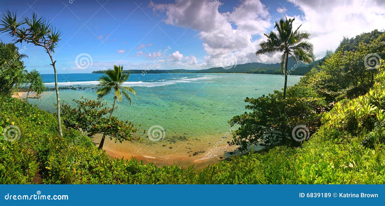 tropical resort view in kauai hawaii