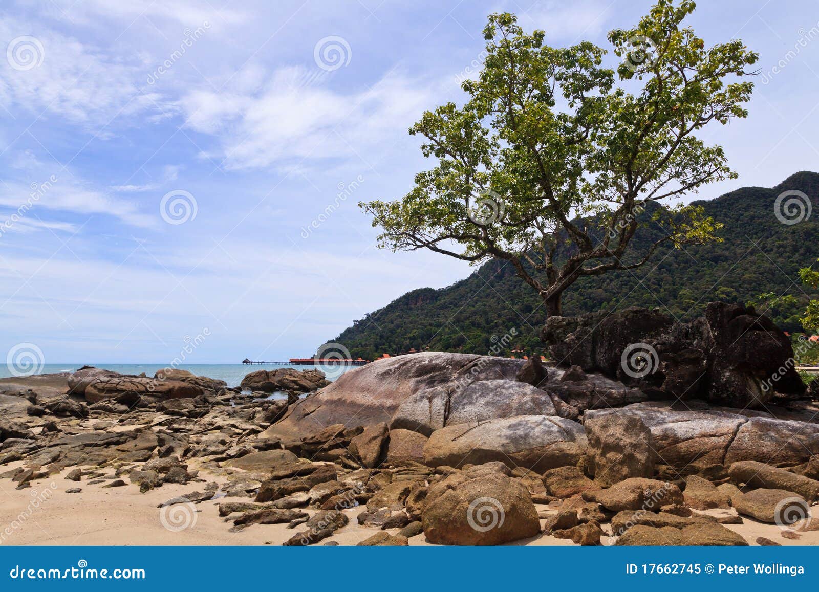 Tropical Rocky Beach With Rain Forest Stock Image Image Of Island