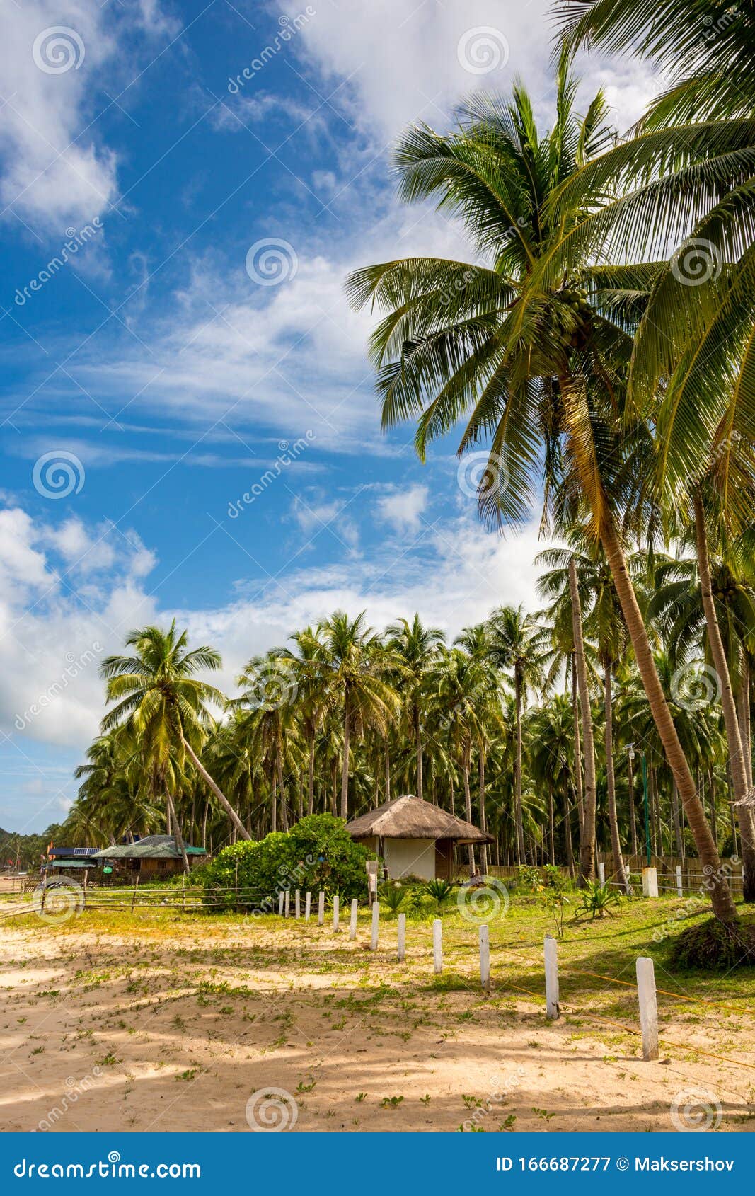 Tropical Sandy Beach in El Nido Philippines. Palawan Island in ...
