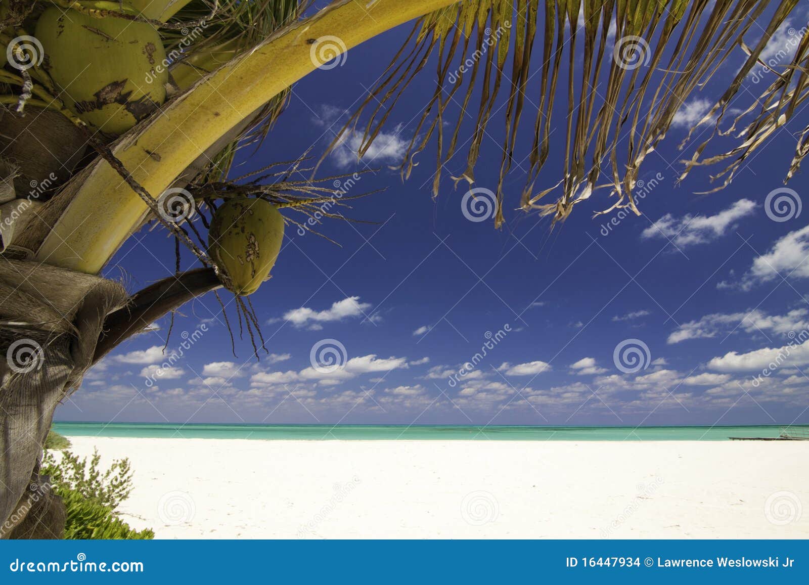 tropical serenity - isla pasion cozumel mexico