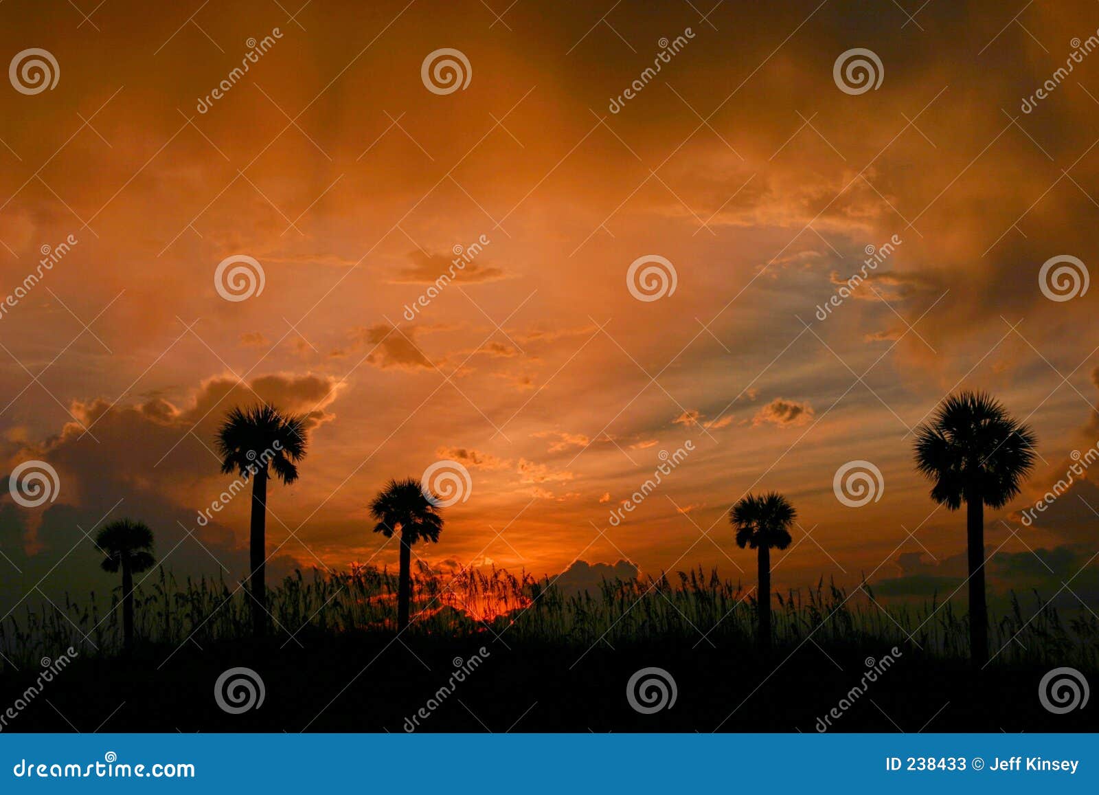 tropical sky