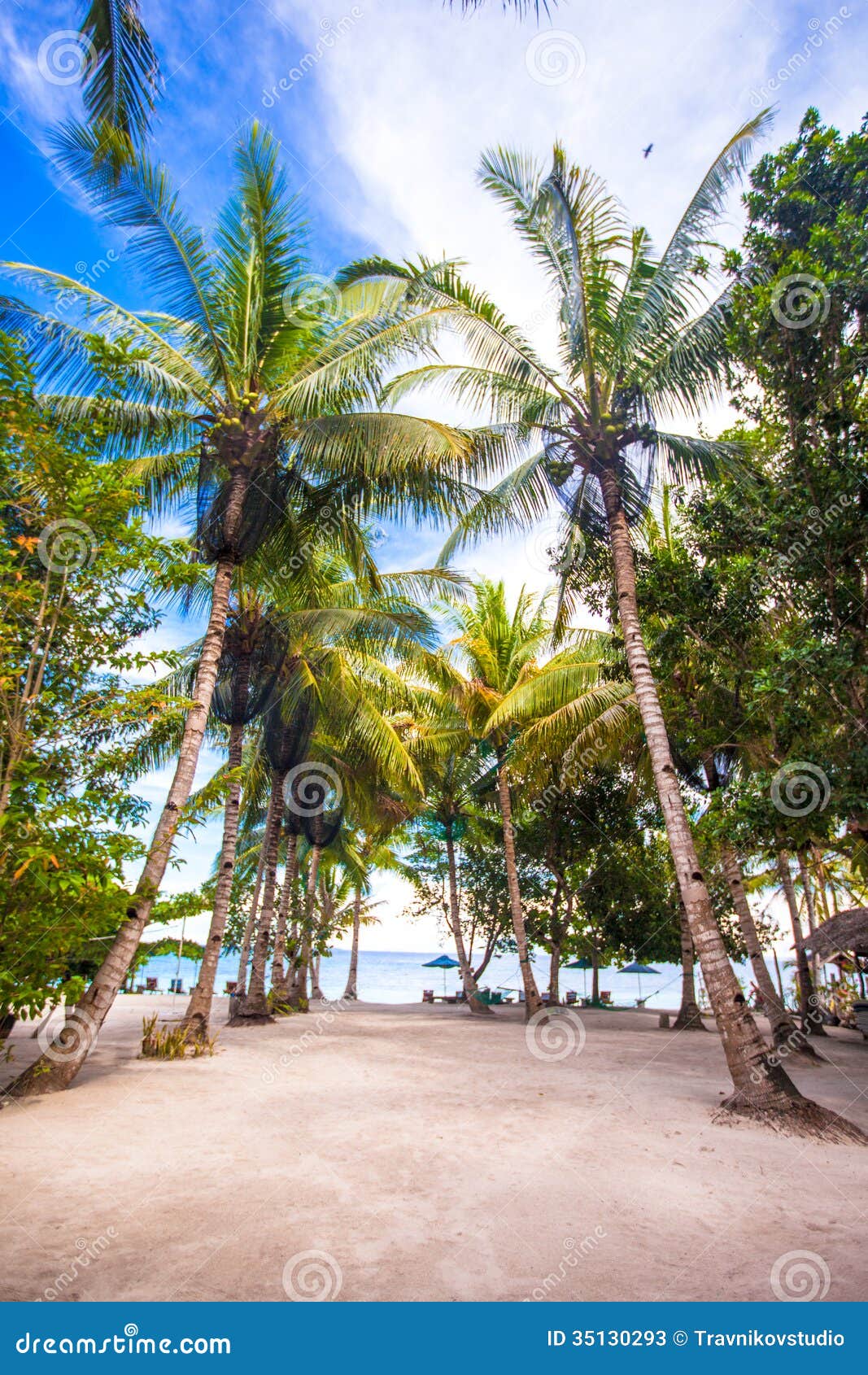 Tropical Sunny Beach in Beautiful Exotic Resort Stock Image - Image of ...